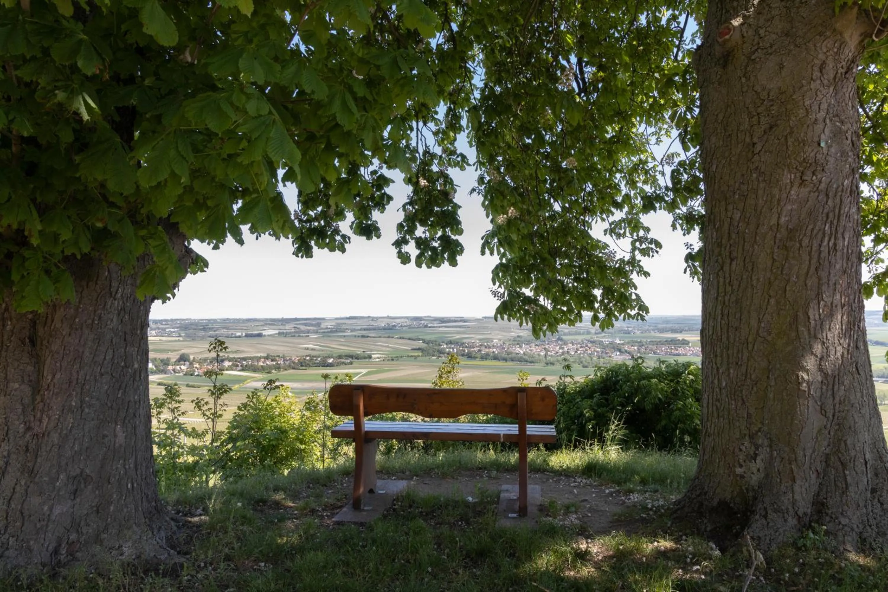 Natural landscape in Hofgut Wißberg - Das Weinberghotel