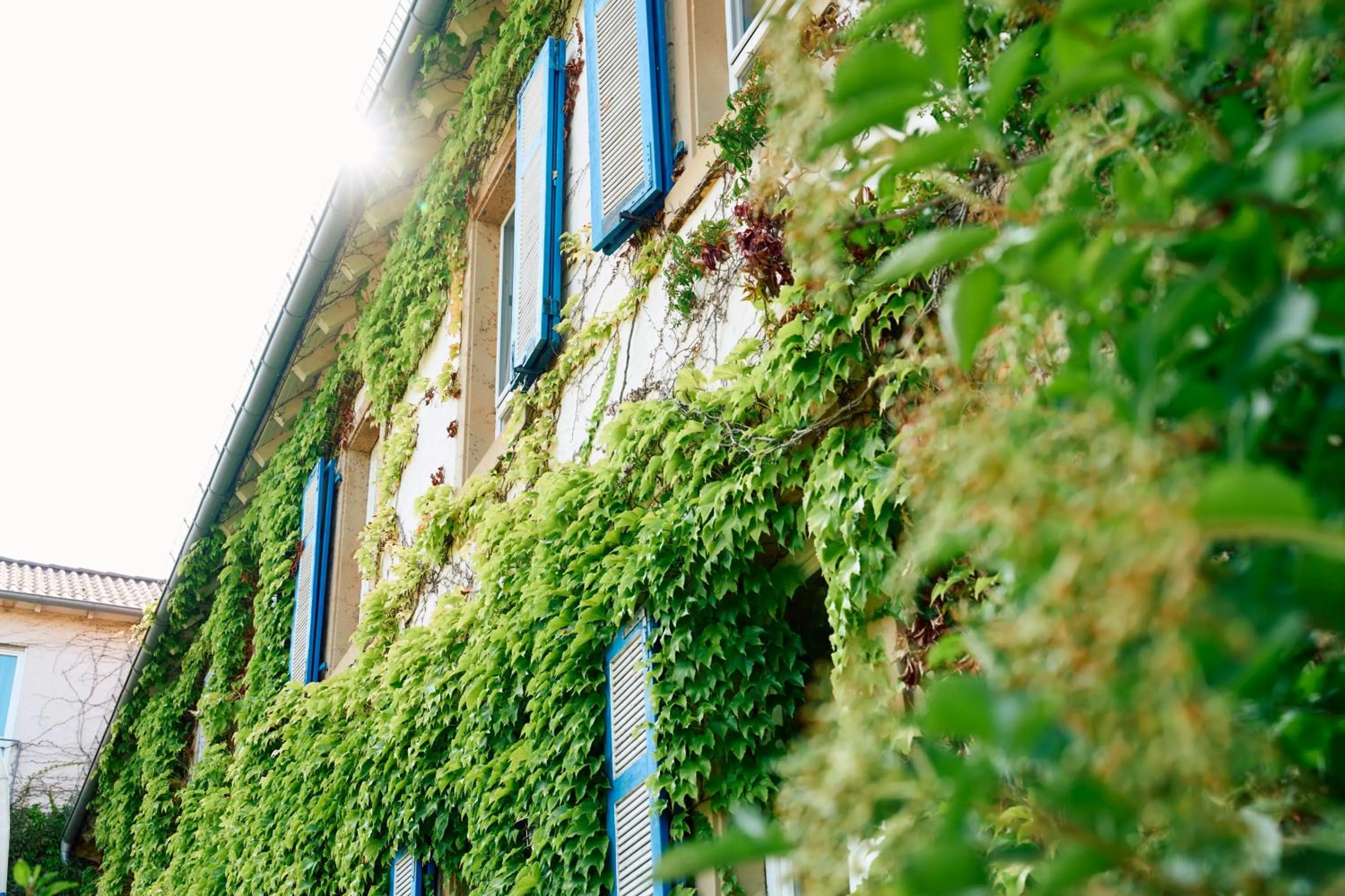 Facade/entrance in Hofgut Wißberg - Das Weinberghotel
