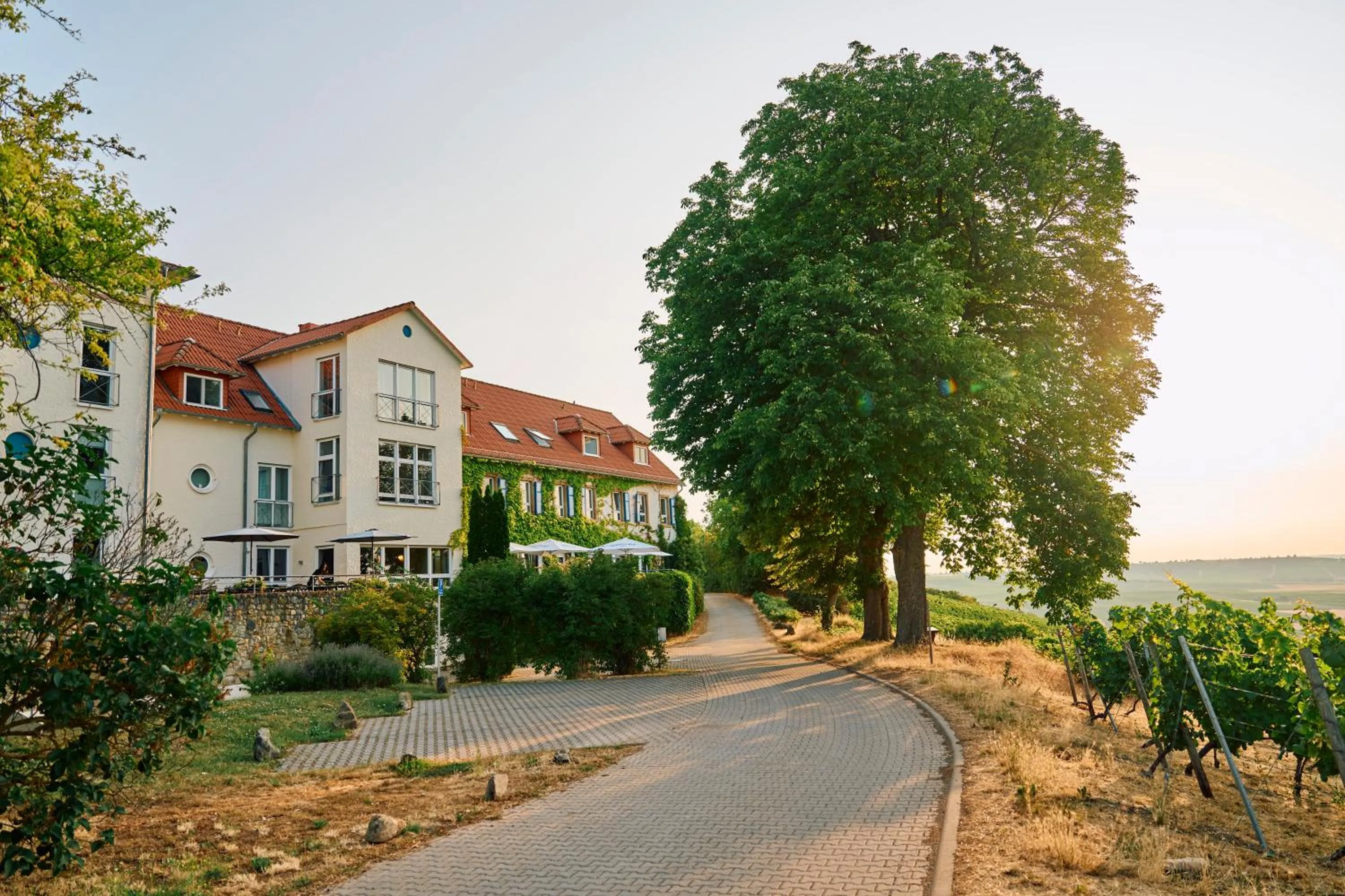 Facade/entrance in Hofgut Wißberg - Das Weinberghotel