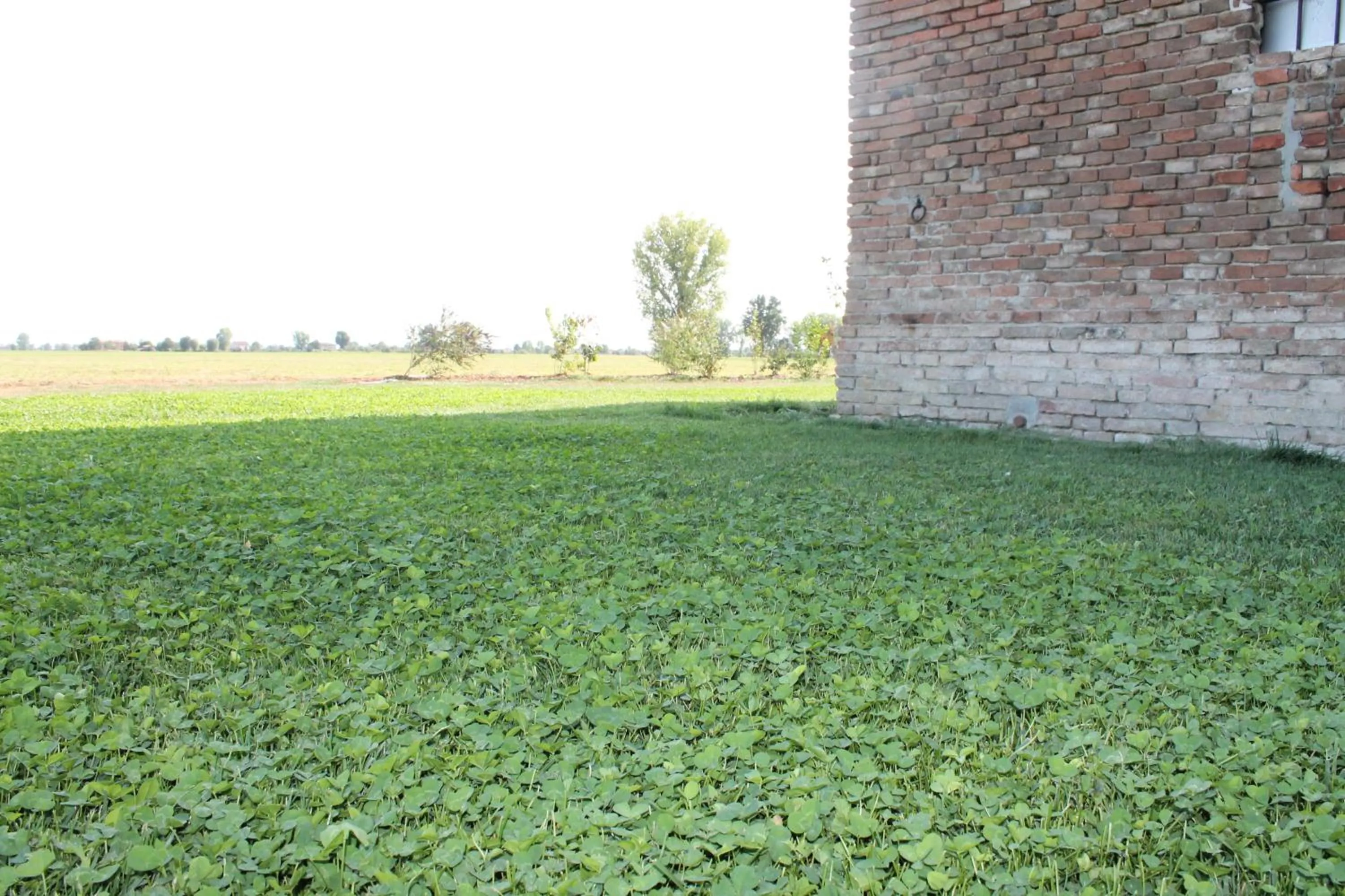 Garden in Antico Casale Caroli