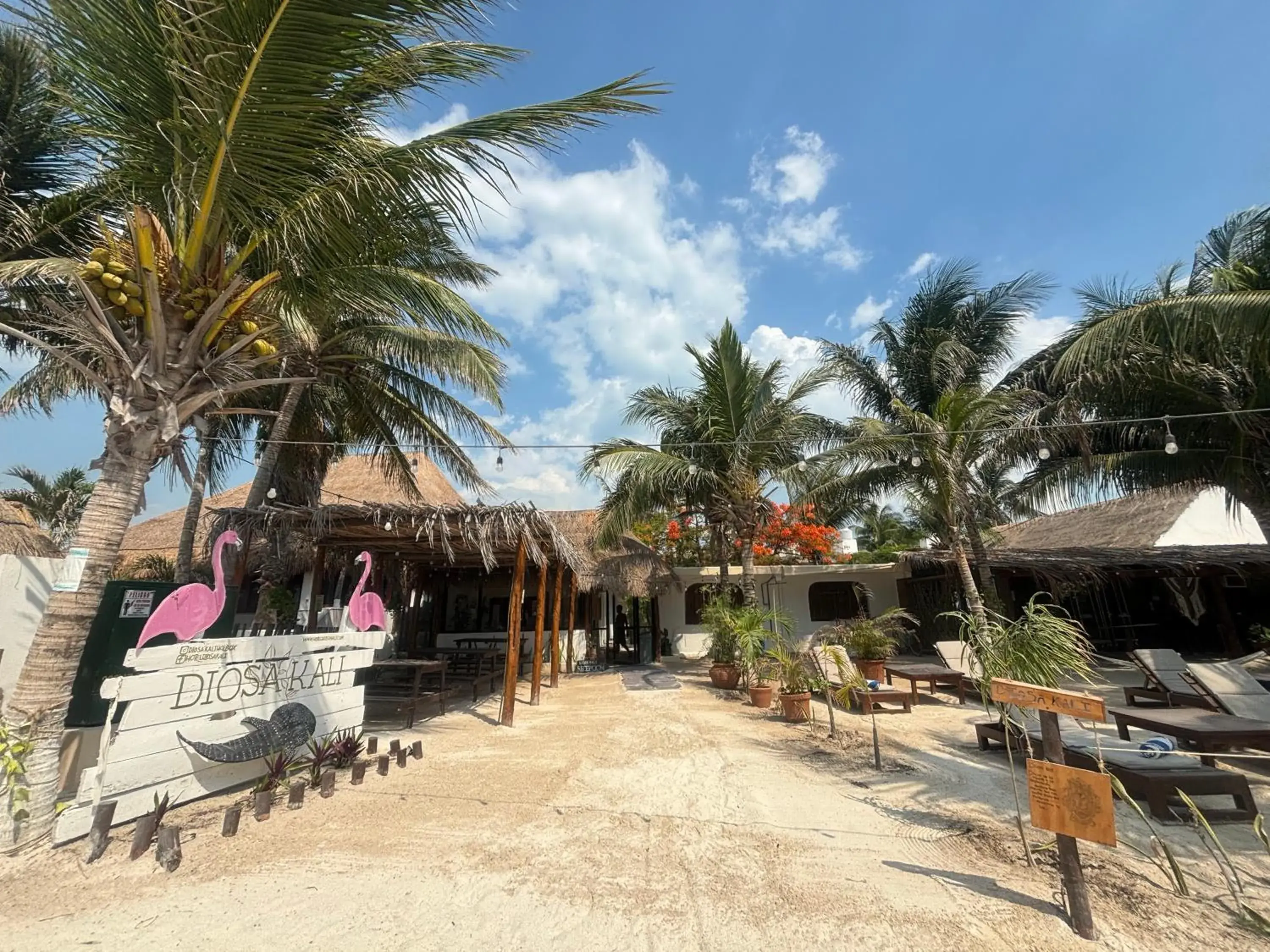 La Diosa Kali Beach Front Hotel La Diosa Kali Beach Front Hotel