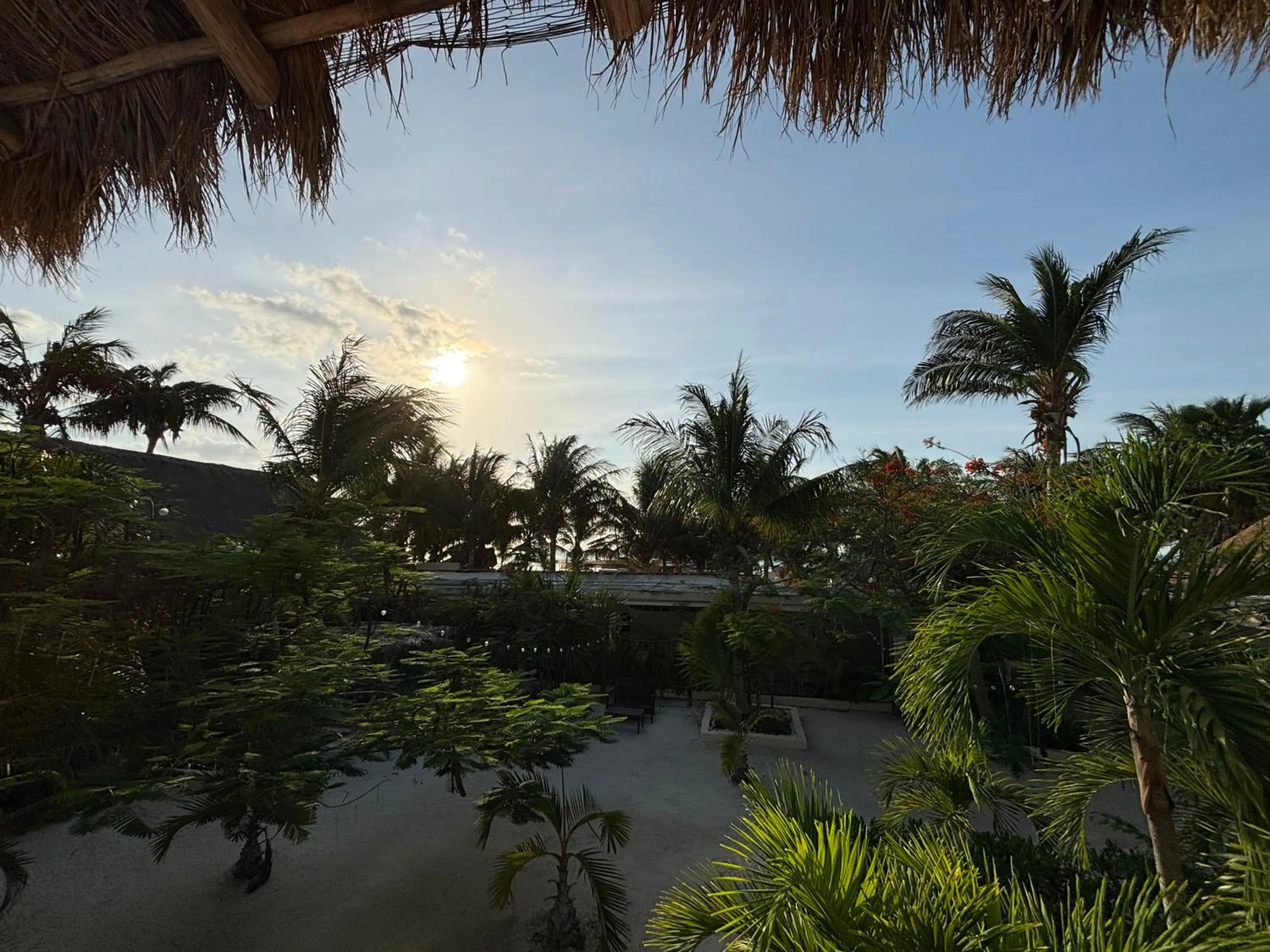 Natural landscape in La Diosa Kali Beach Front Hotel