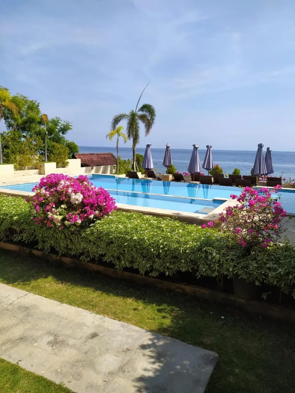 Pool view in Ocean Resort Amed