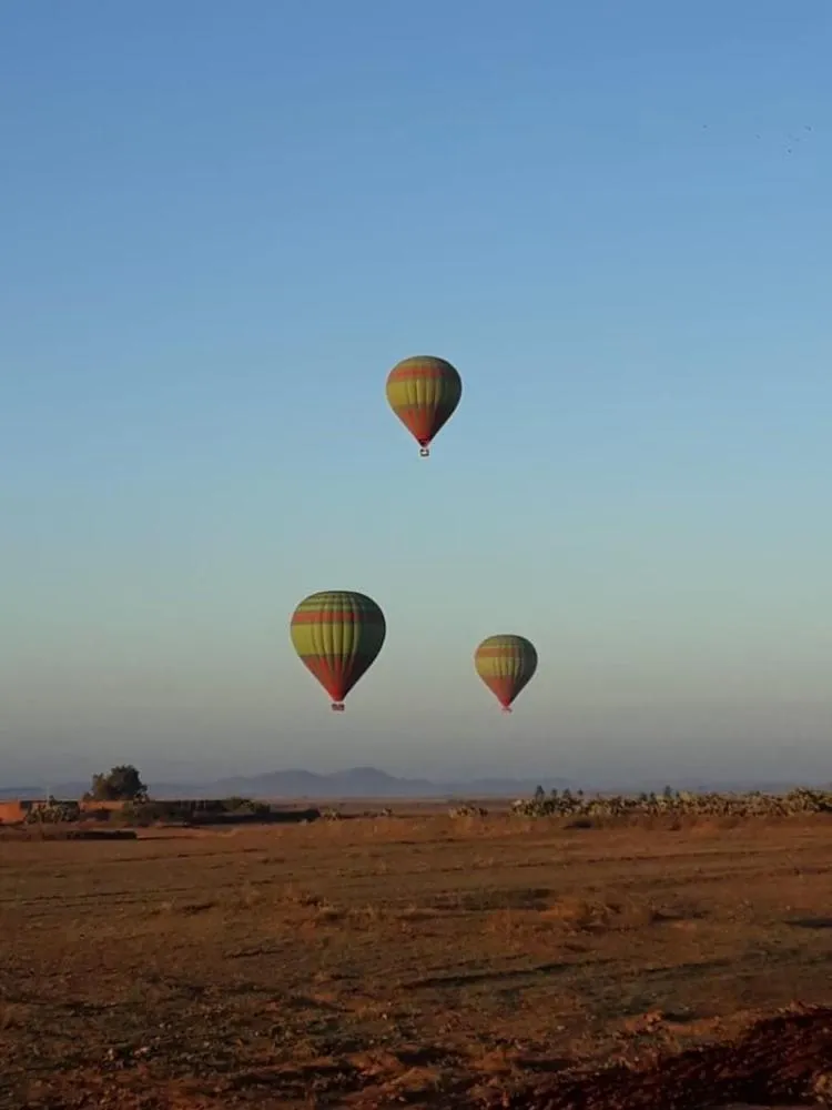 Activities in Riad N'S & Spa