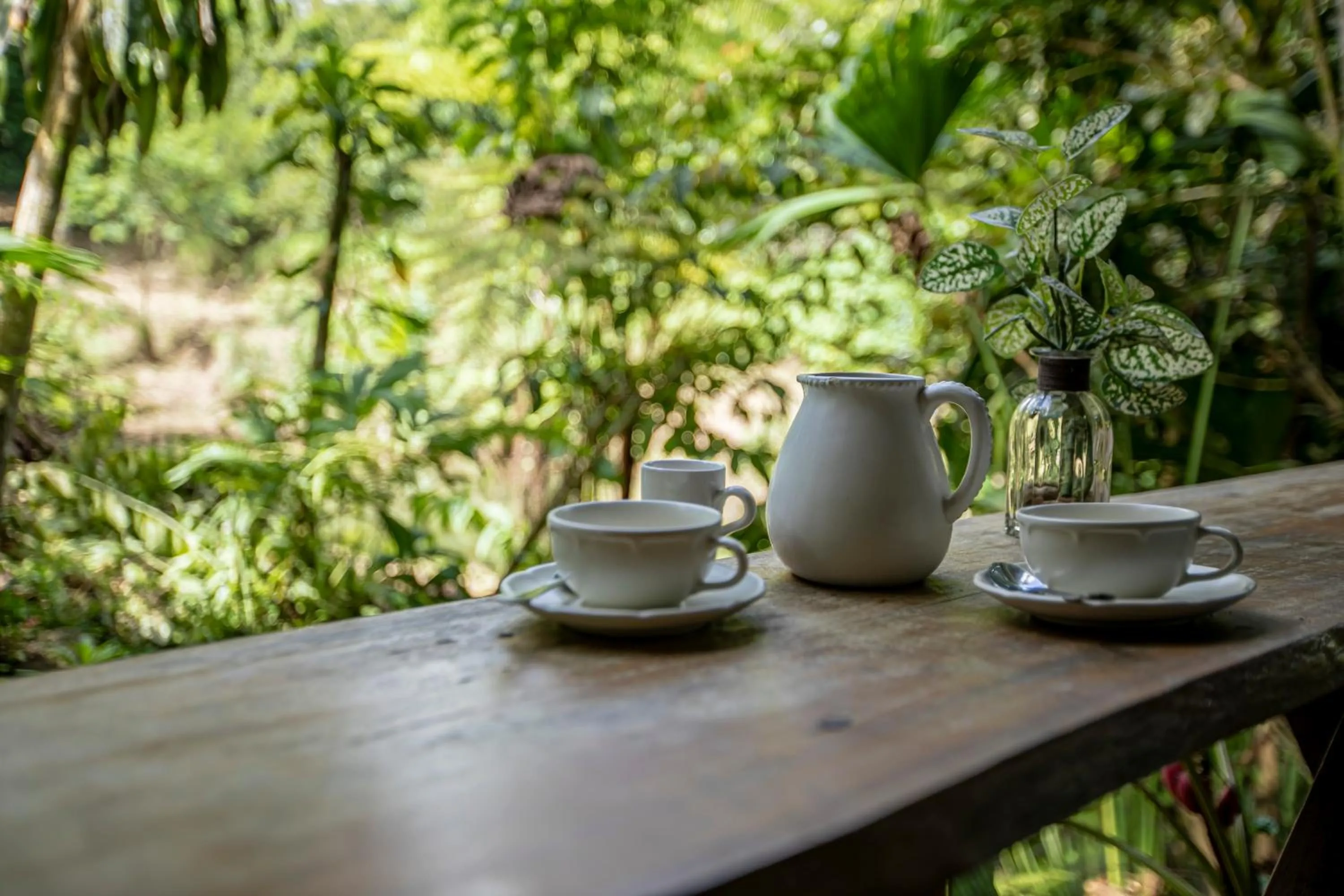 Coffee/tea facilities in Cabañas del Lago
