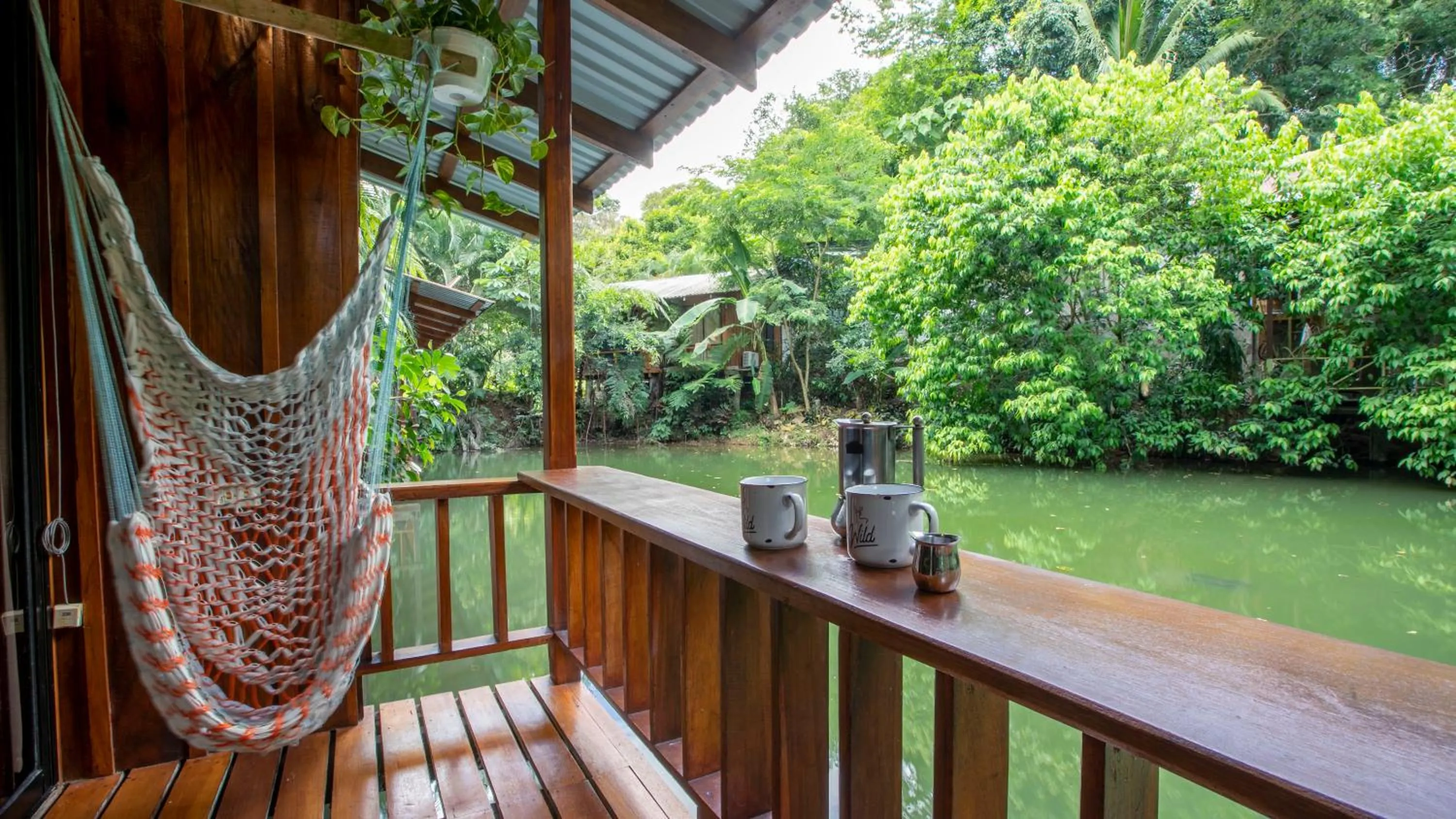 Natural landscape in Cabañas del Lago