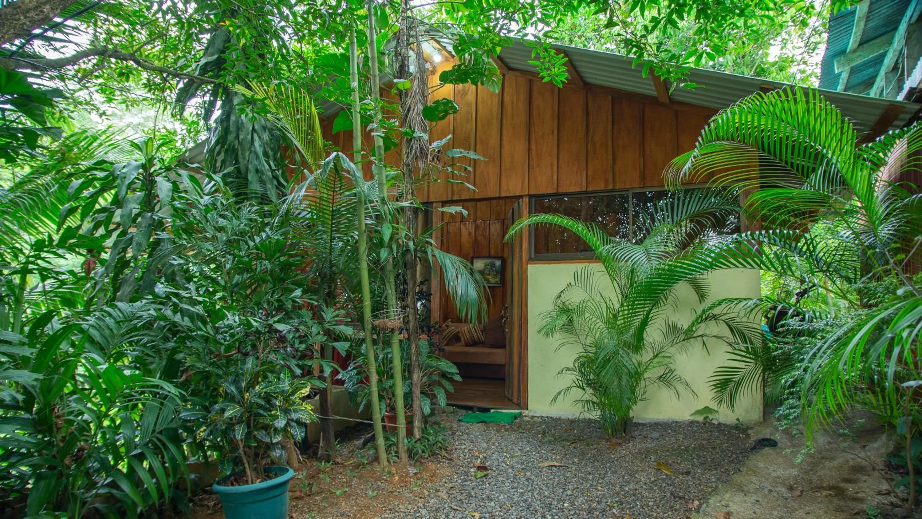 Garden in Cabañas del Lago