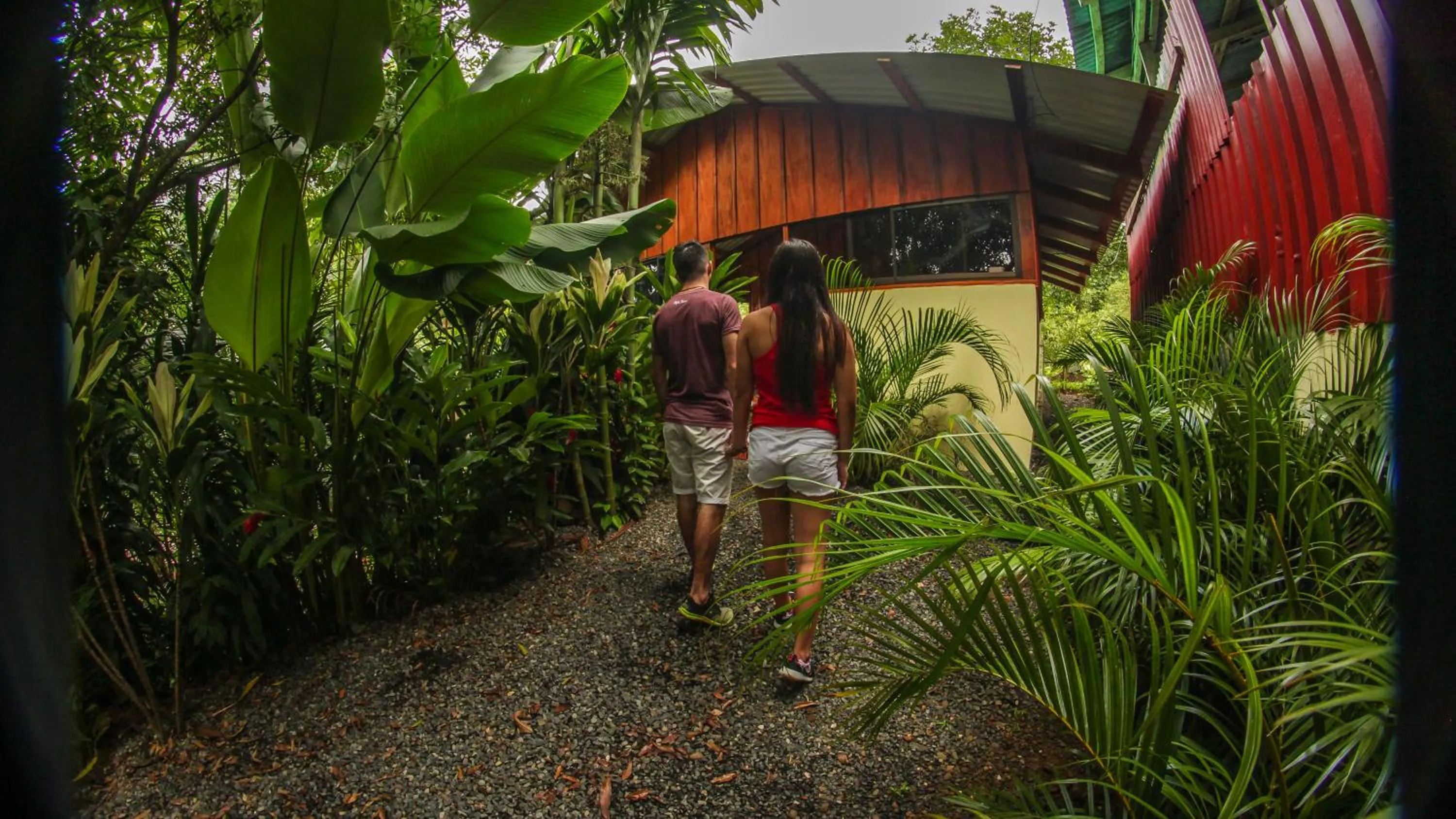Garden view in Cabañas del Lago