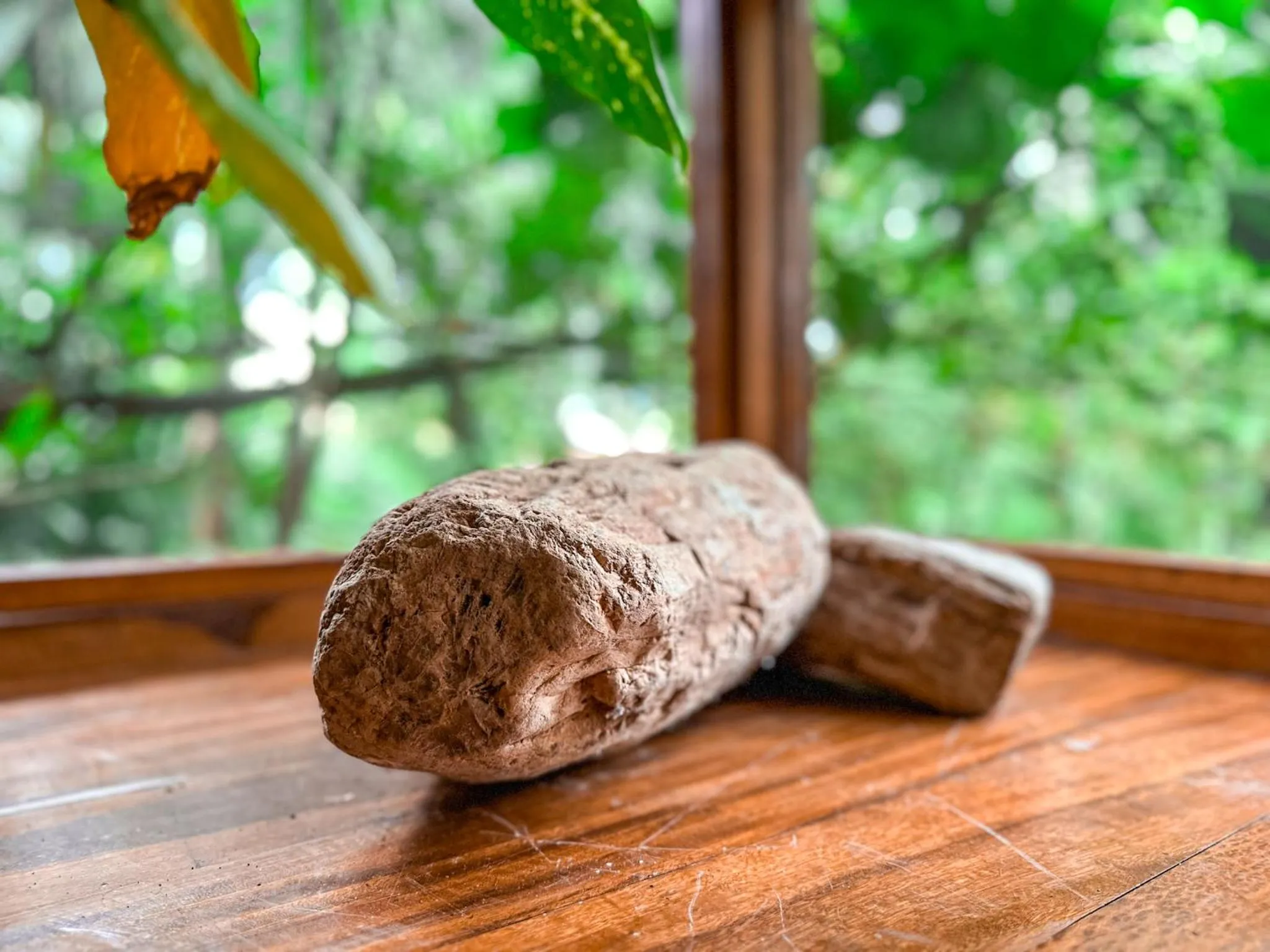 Other in Cabañas del Lago