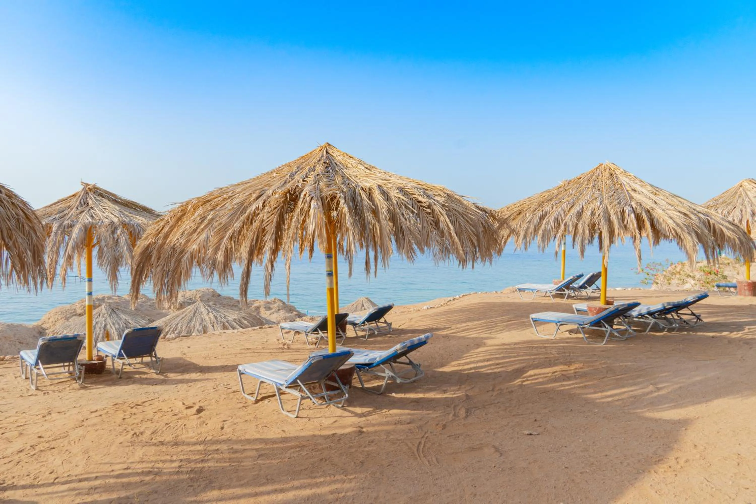 Beach in Sharm Club Beach Resort