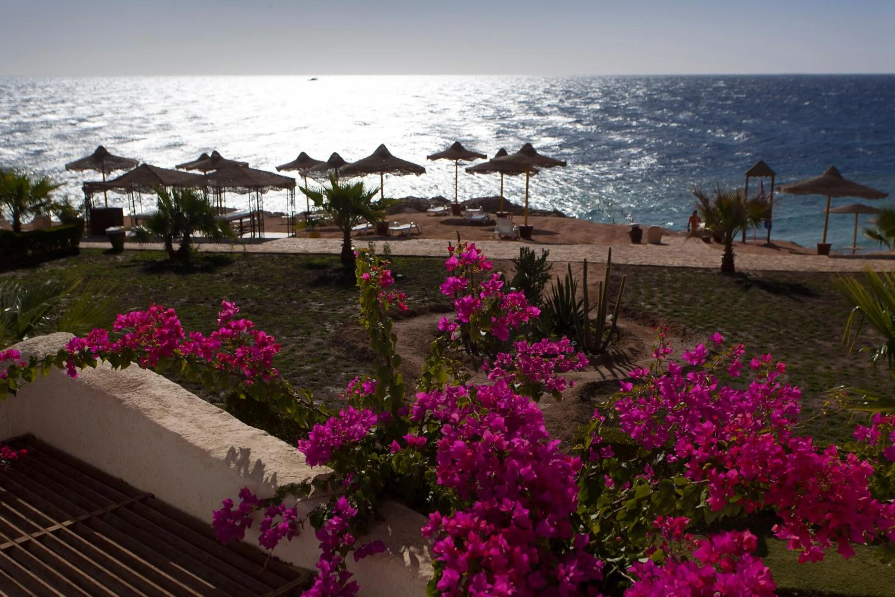 Garden in Sharm Club Beach Resort