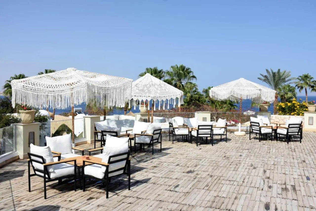 Day in Sharm Club Beach Resort