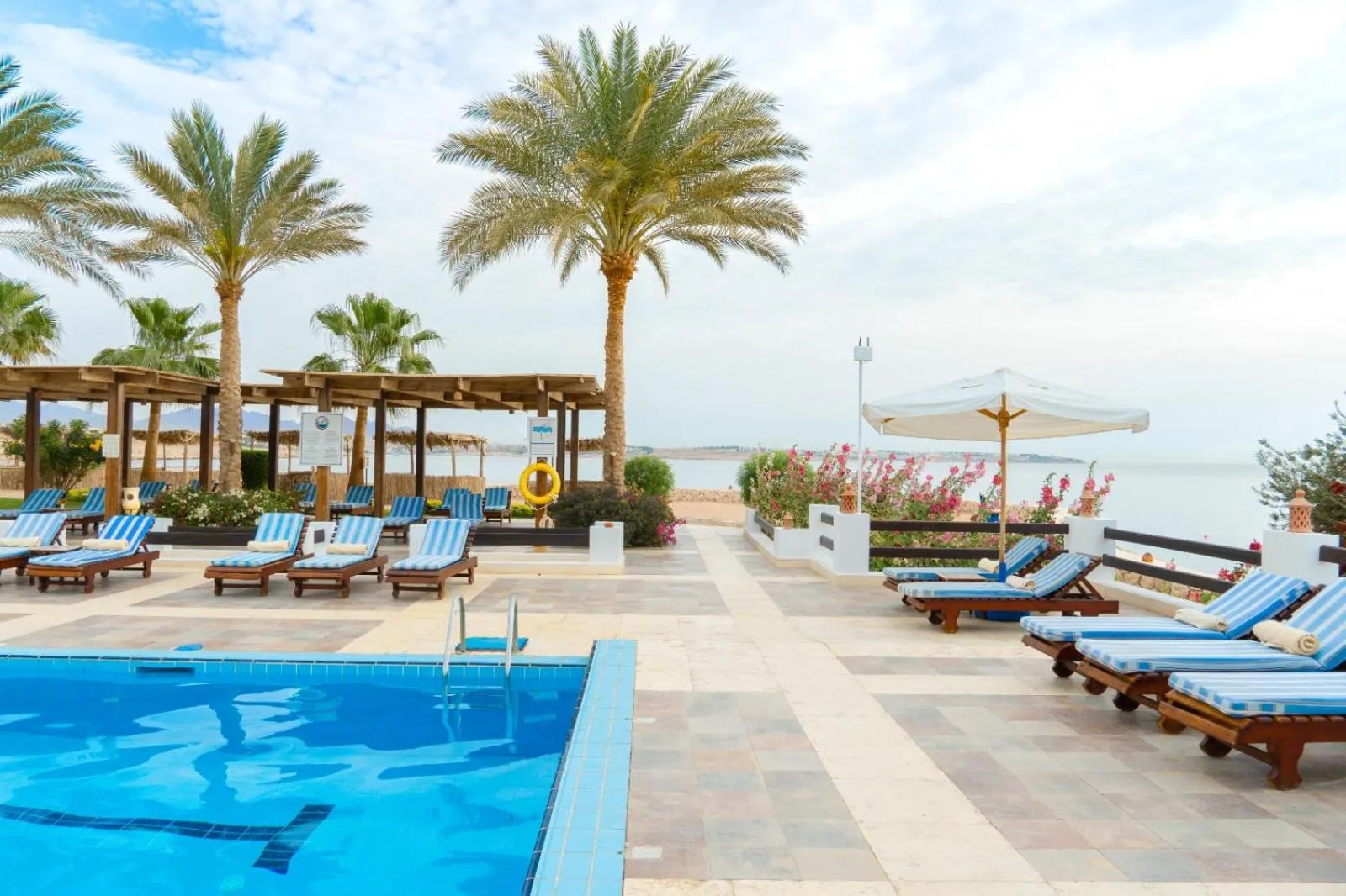 Swimming pool in Sharm Club Beach Resort