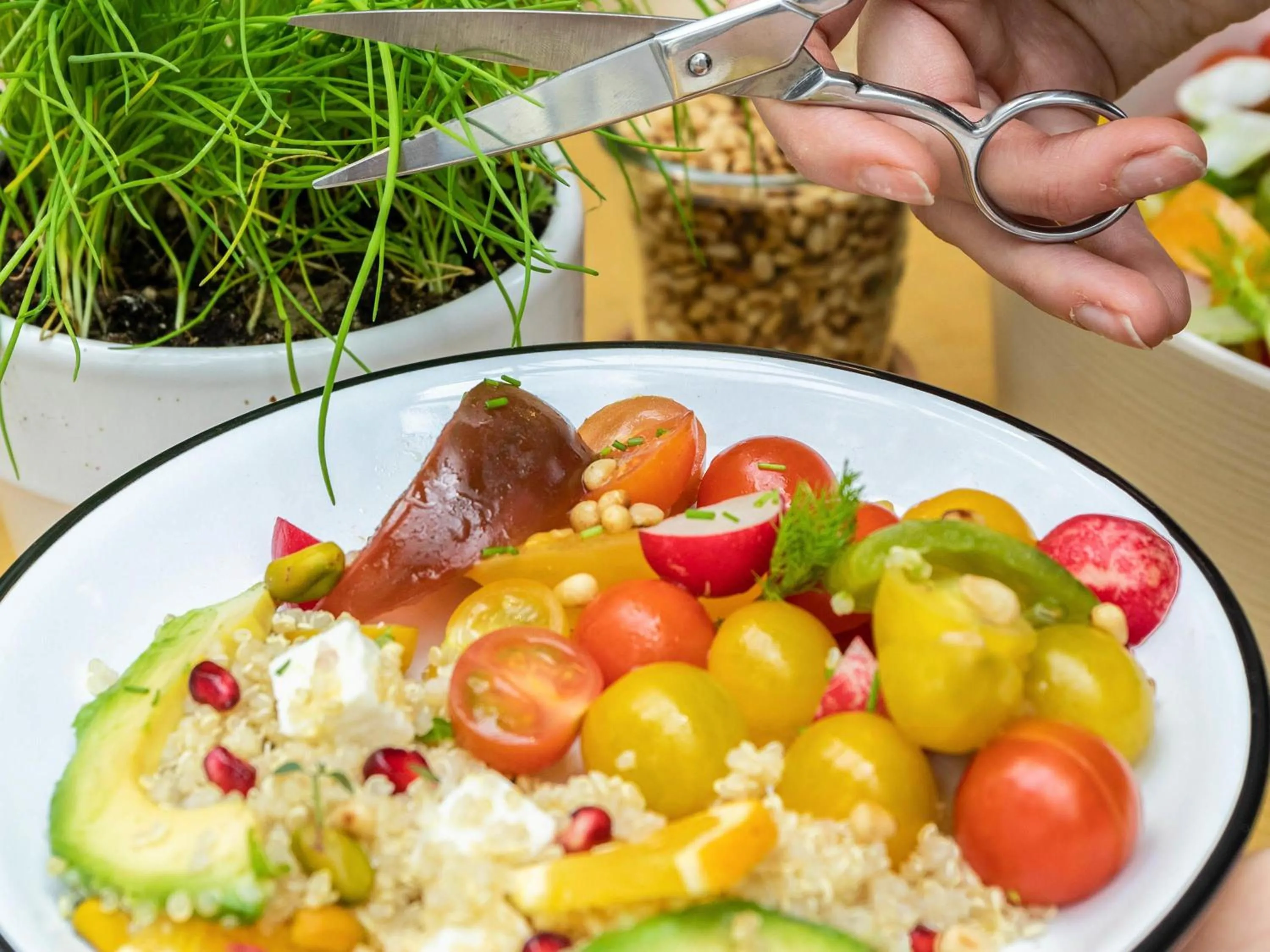 Restaurant/places to eat in Mercure Sighisoara Binderbubi Hotel & Spa