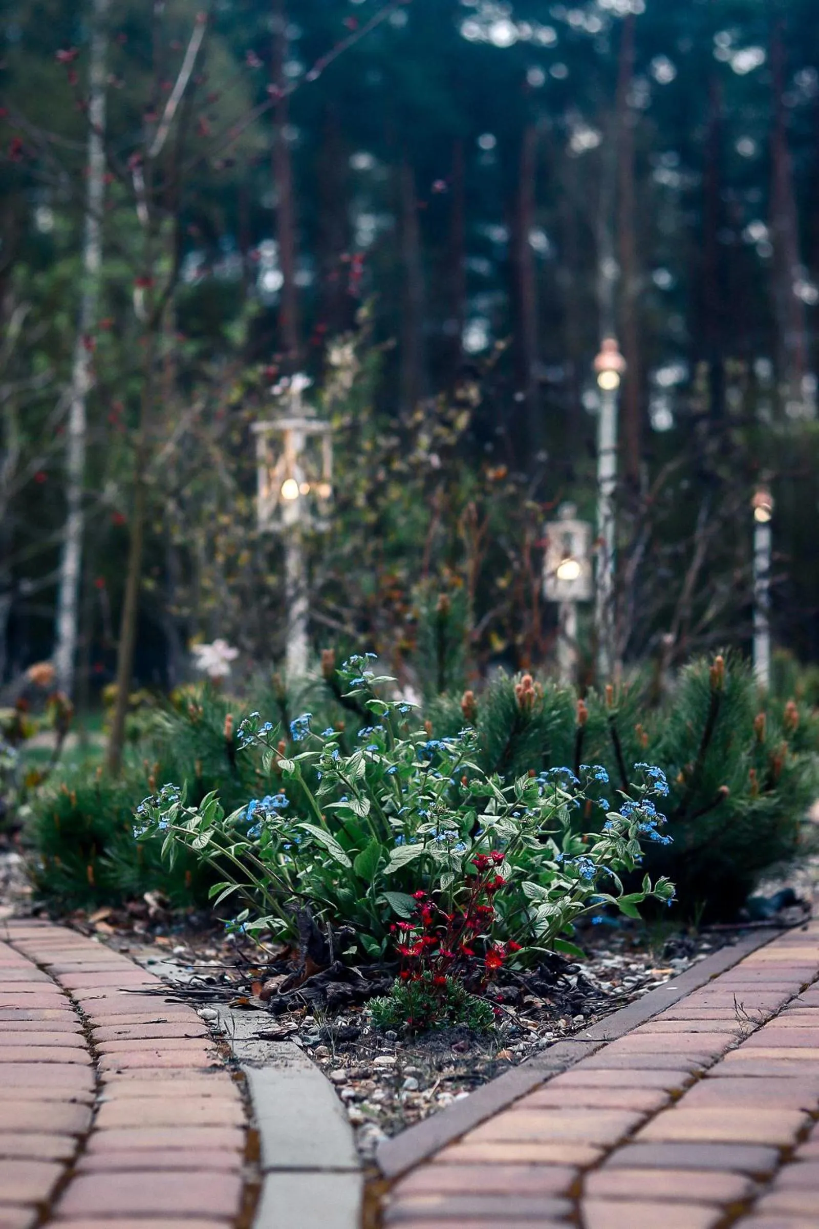 Garden in Hotel Best Inn Bydgoszcz S5