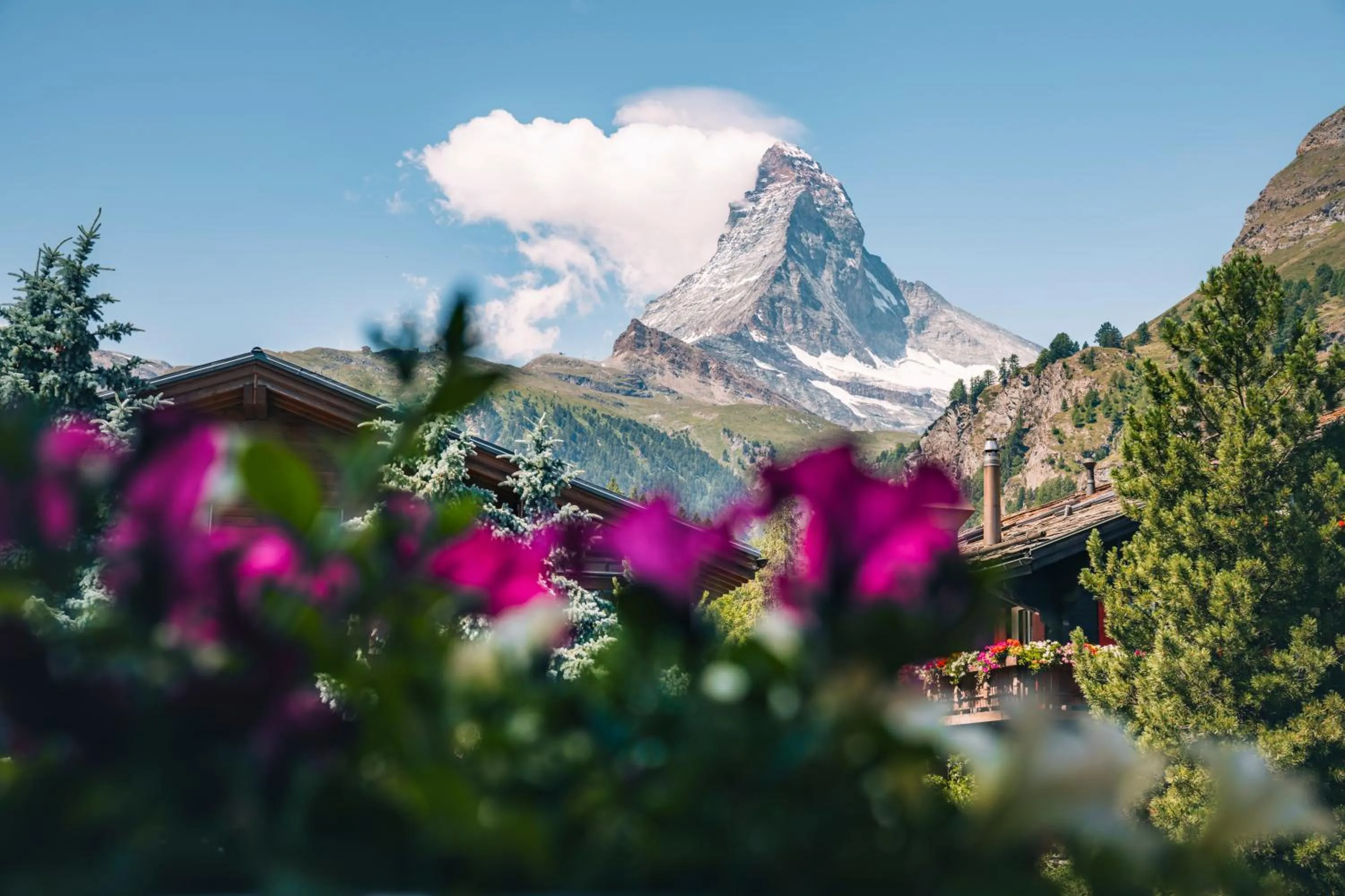 View (from property/room) in Hotel Eden Wellness
