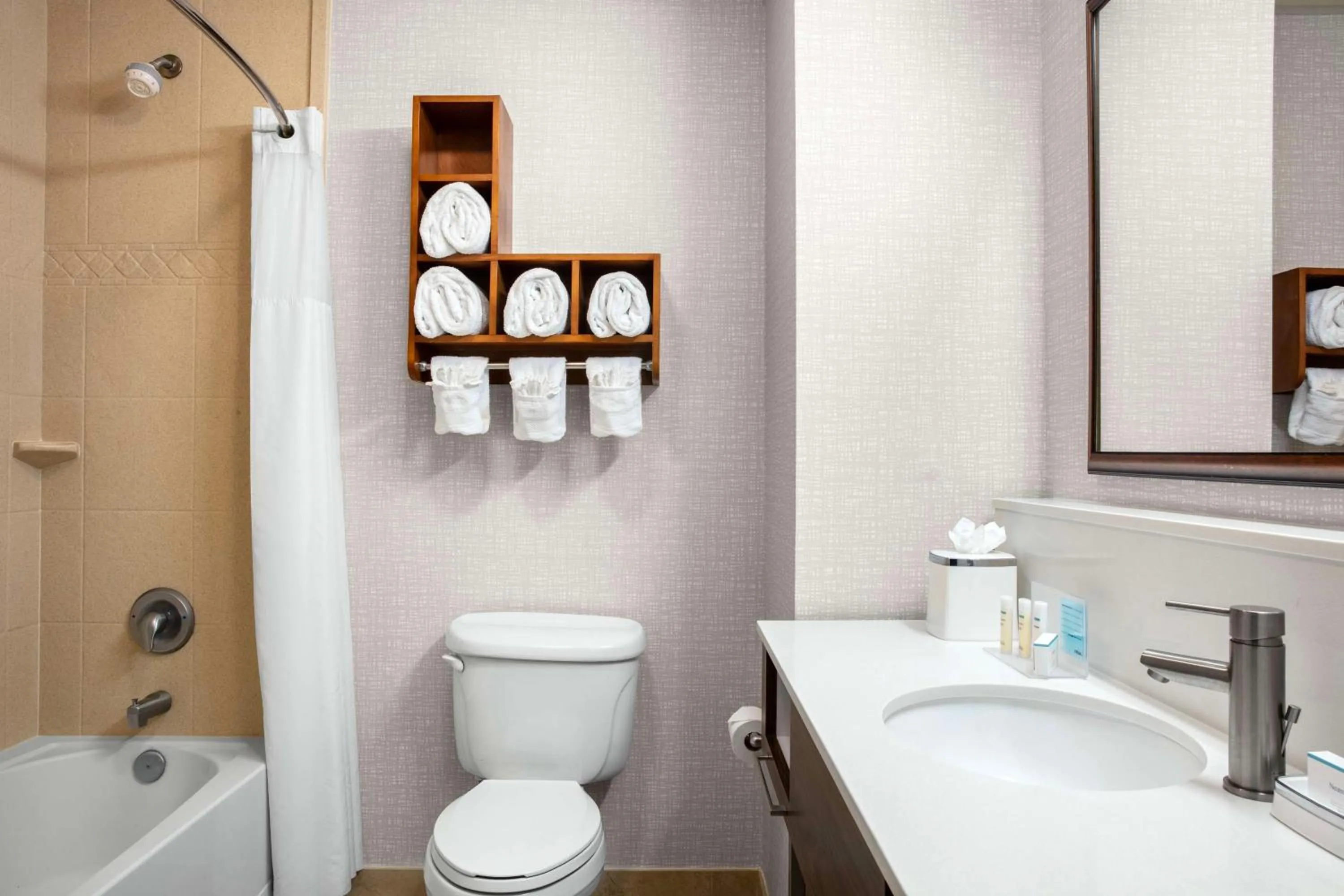 Bathroom in Hampton Inn & Suites Homestead Miami South