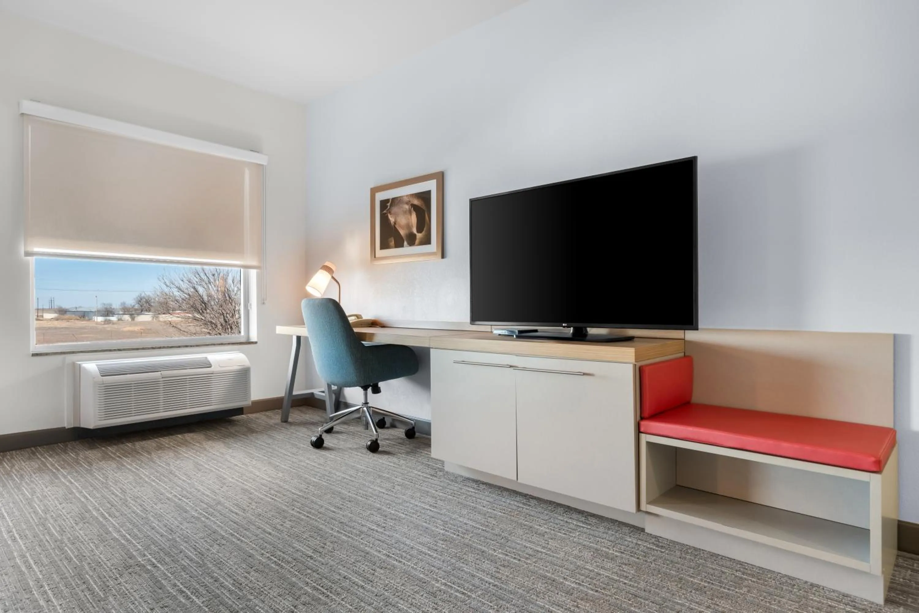 TV and multimedia in Hilton Garden Inn Amarillo