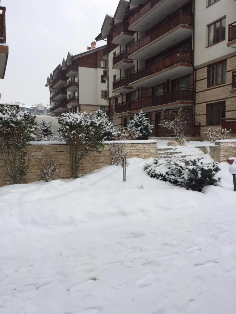 Natural landscape in Apartments Four Leaf Clover Bansko to rent