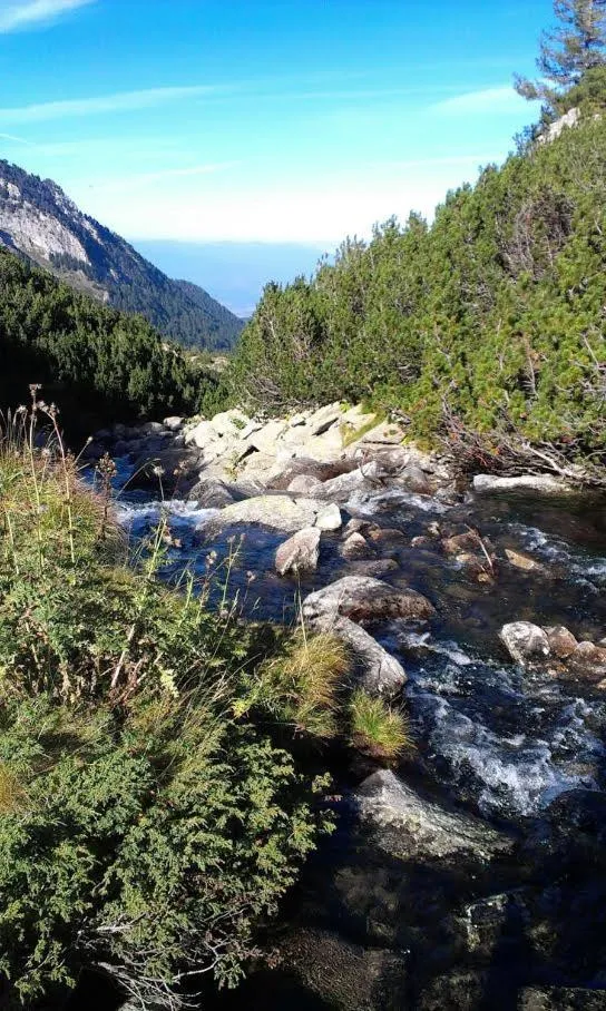 Apartments Four Leaf Clover Bansko to rent