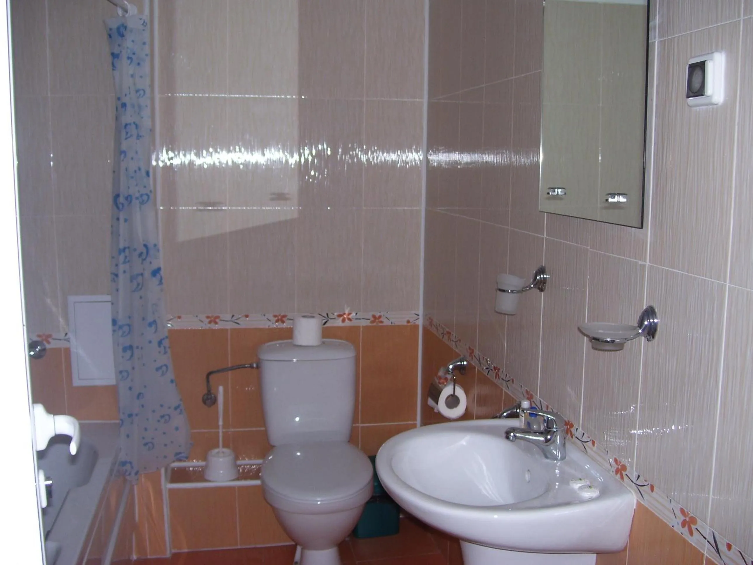 Bathroom in Apartments Four Leaf Clover Bansko to rent