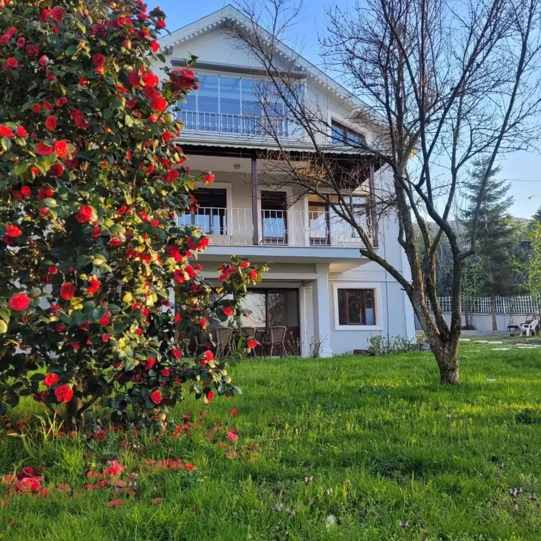 Butik Hotel Maşukiye