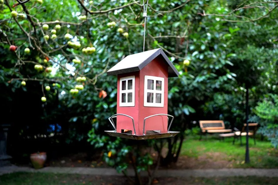 Garden in Butik Hotel Maşukiye
