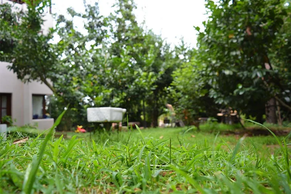 Garden in Butik Hotel Maşukiye