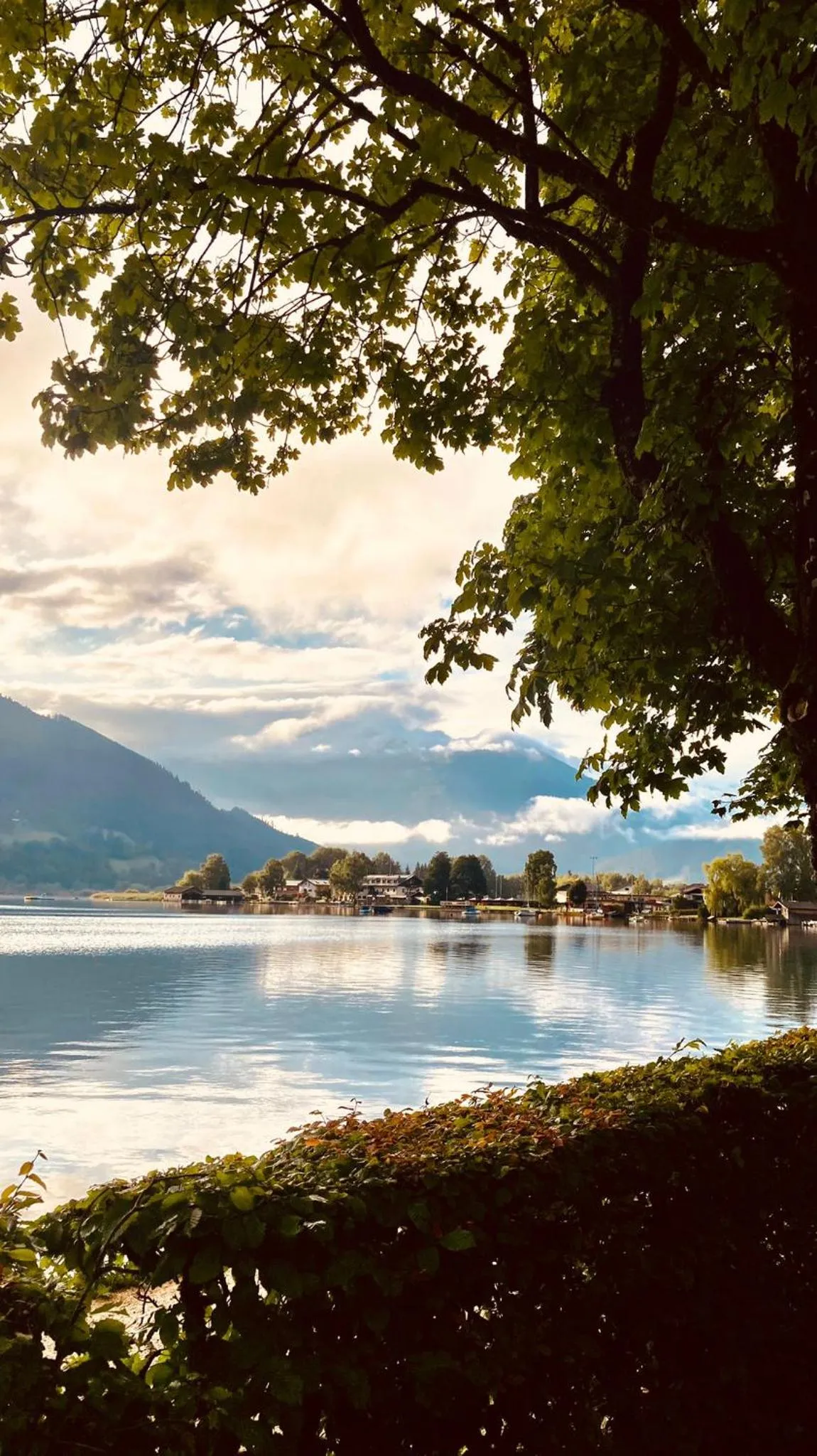 Natural landscape in Hotel Lebzelter