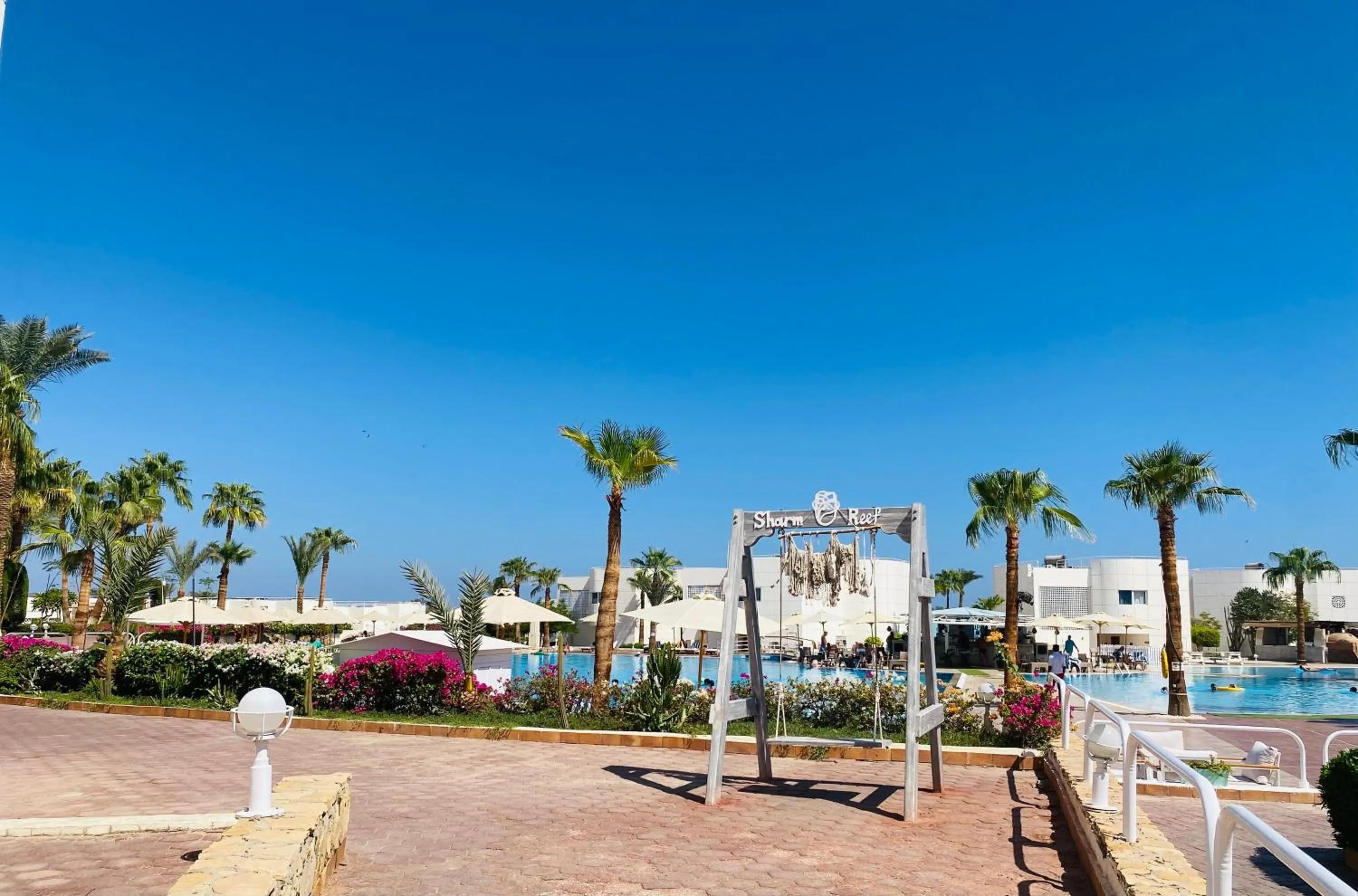 Swimming pool in Sharm Reef Hotel