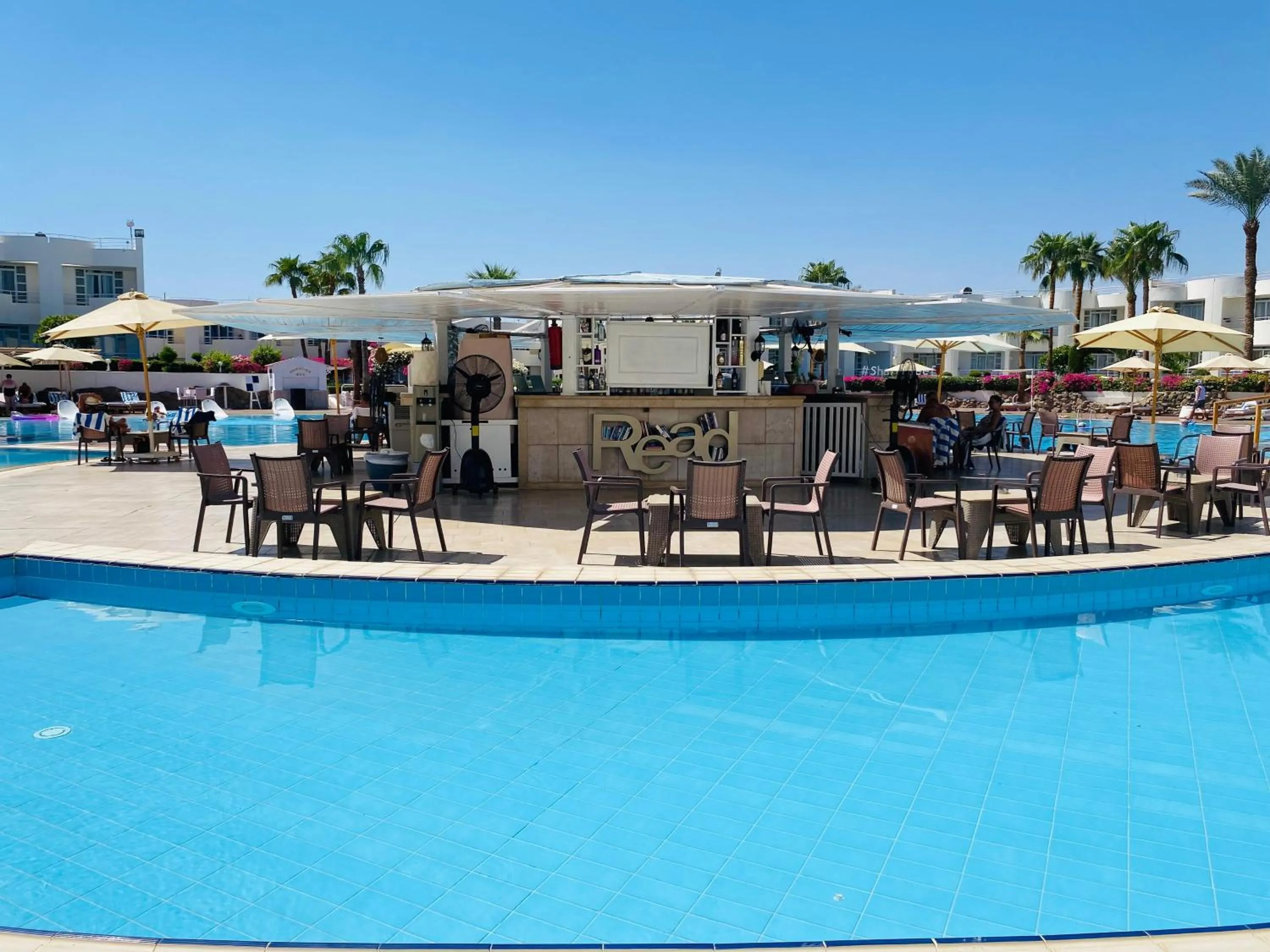 Swimming pool in Sharm Reef Hotel