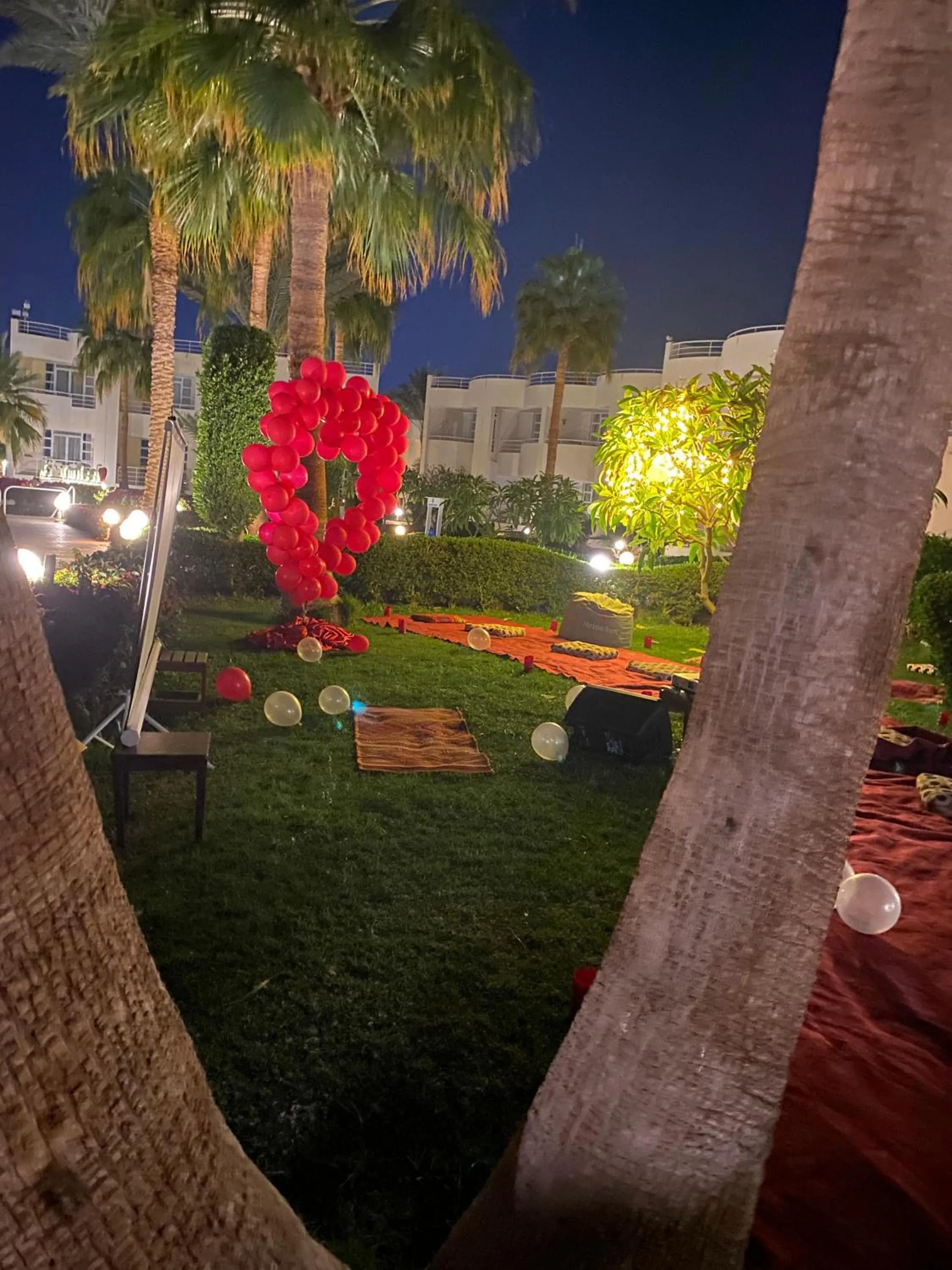 Night in Sharm Reef Hotel