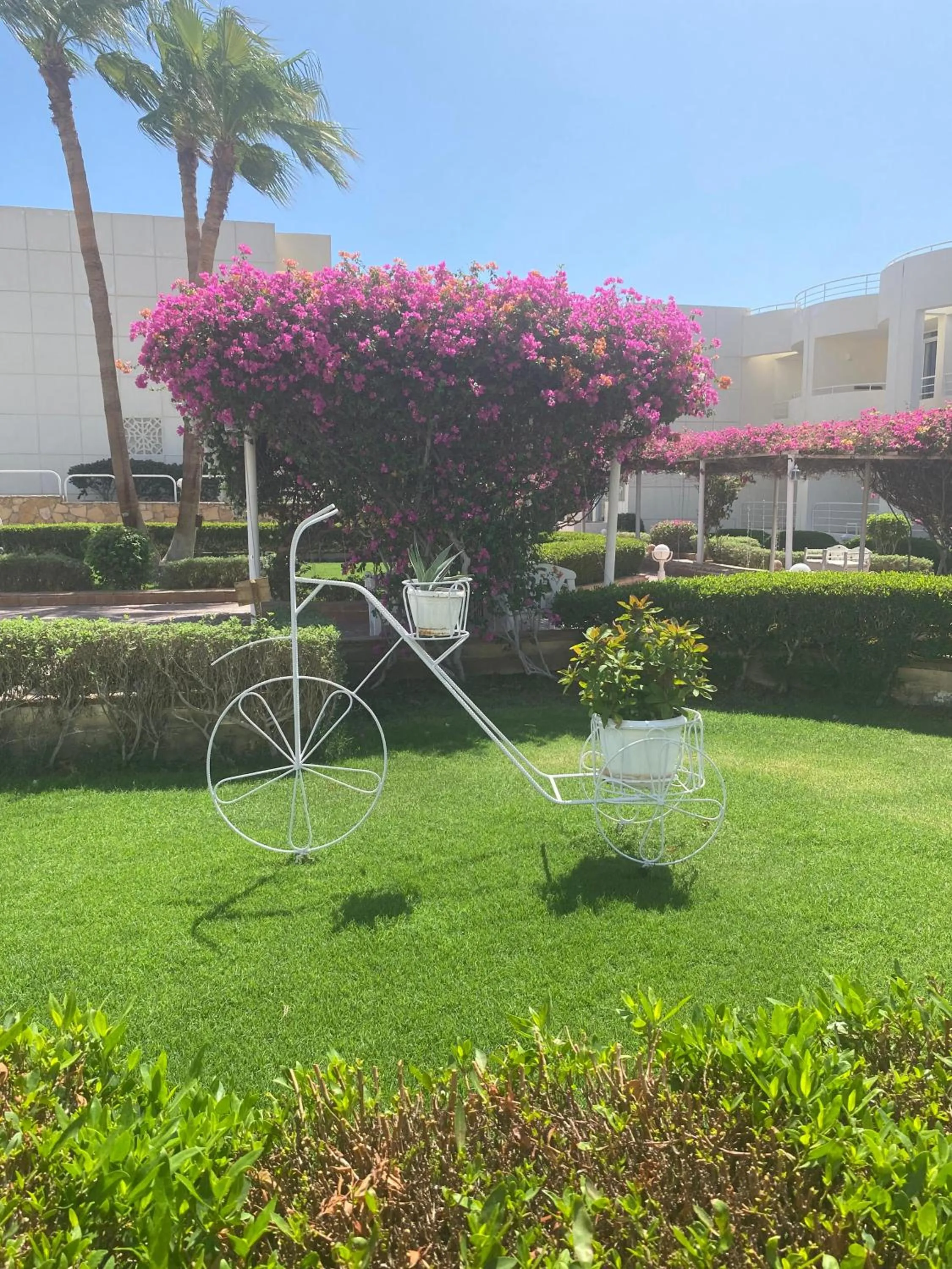 Property building in Sharm Reef Hotel