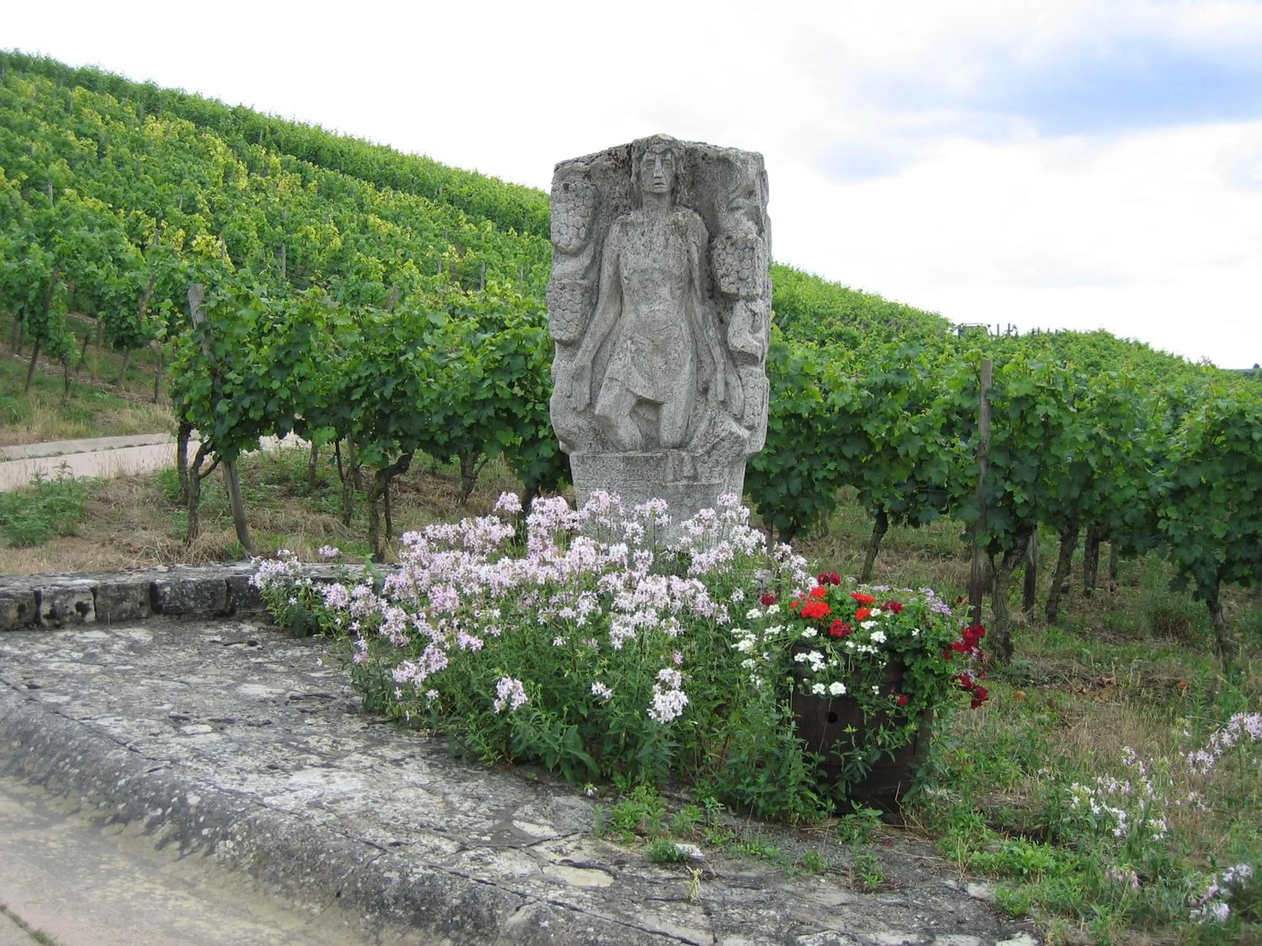 Hiking in Hotel Schwarzes Ross