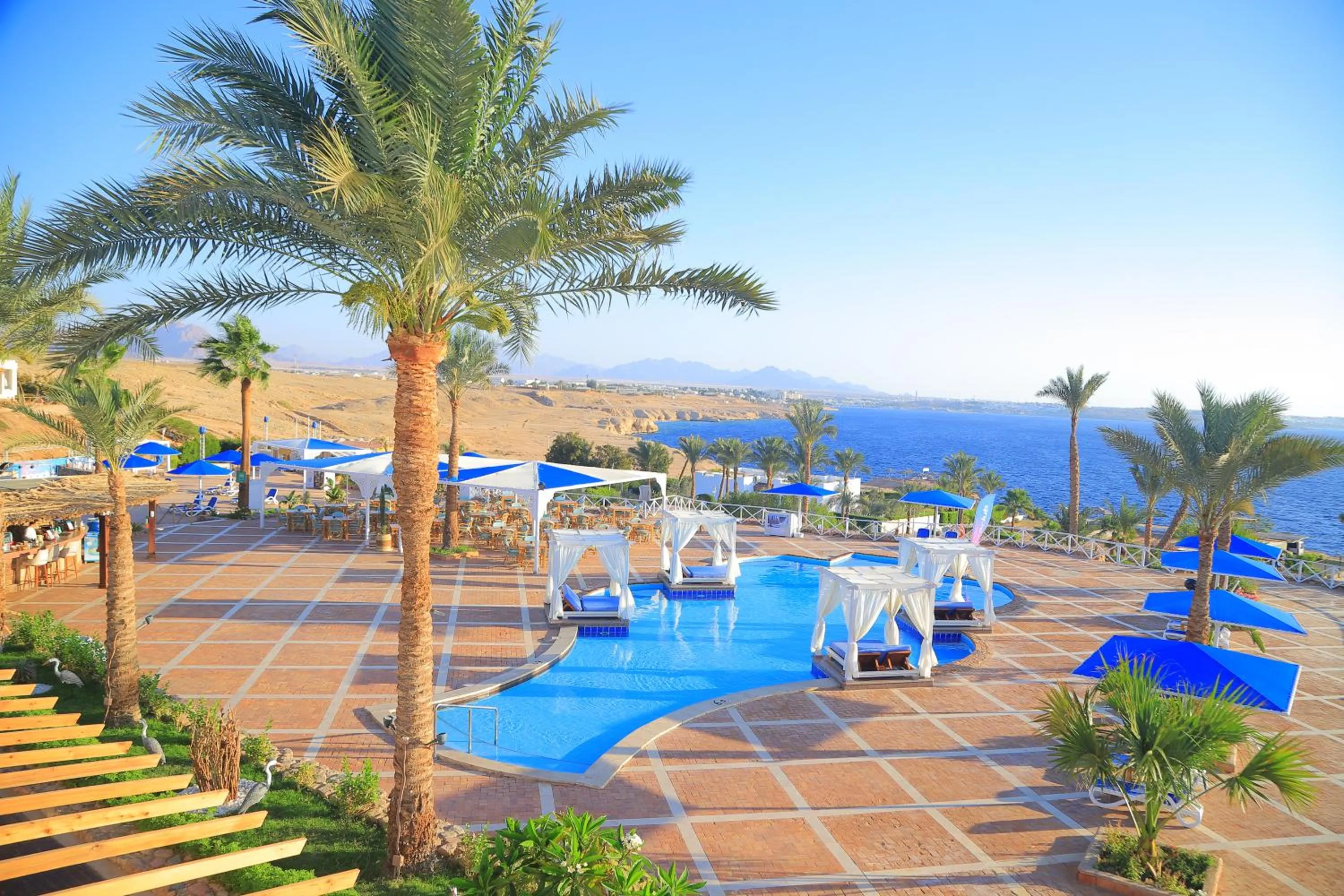 Swimming pool in Club Reef Resort & Spa