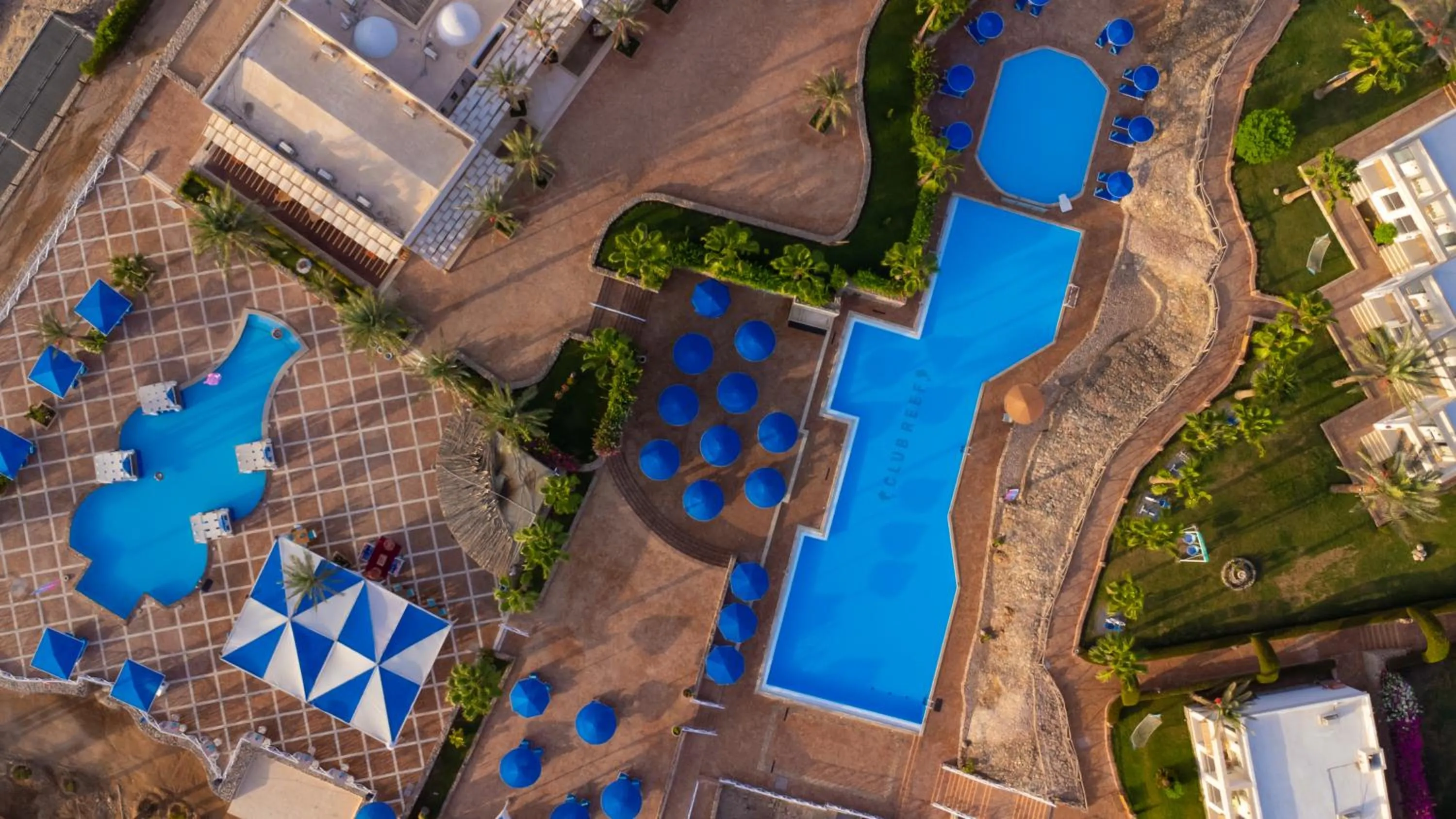 Swimming pool in Club Reef Resort & Spa