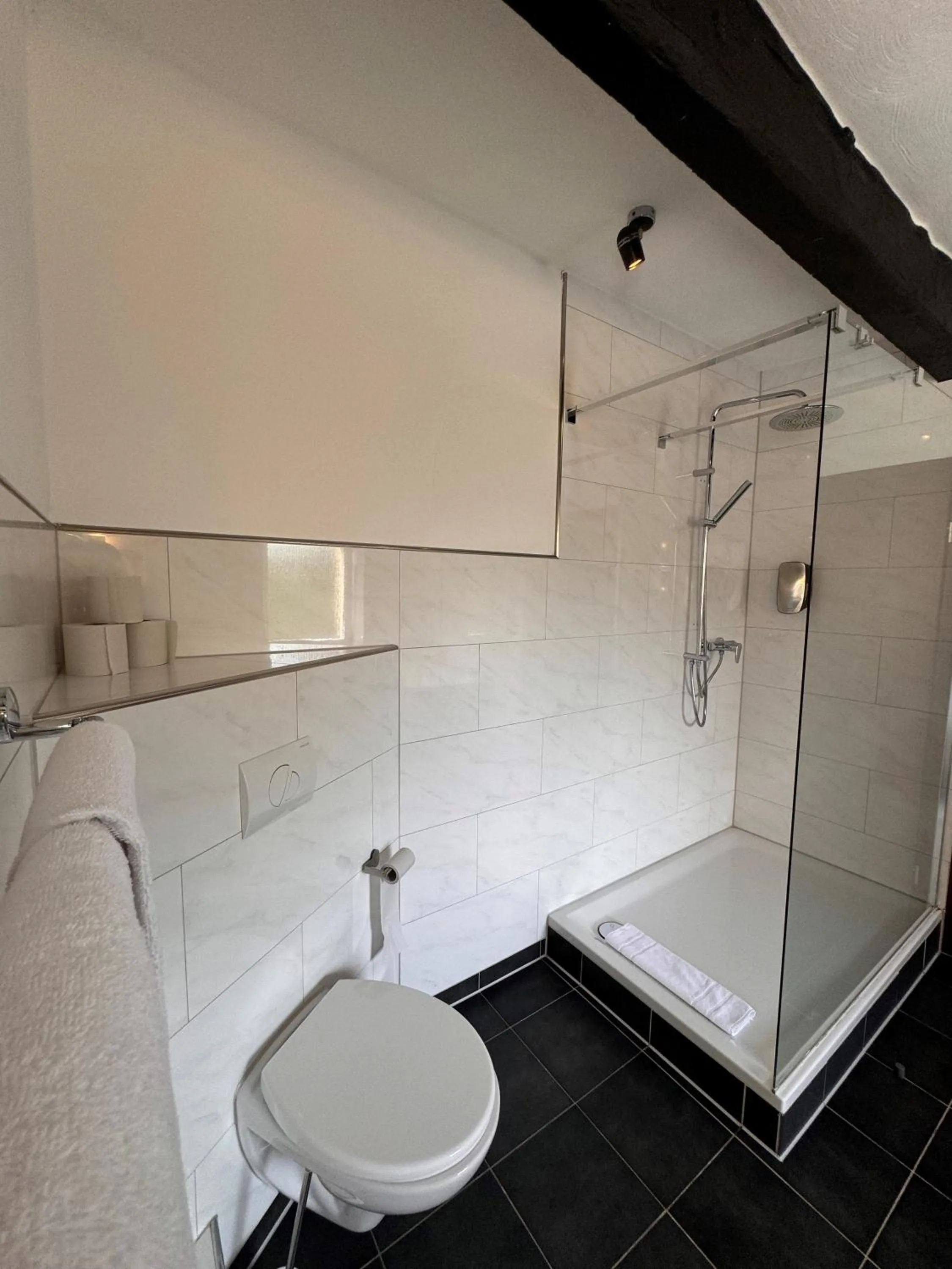 Shower in Hotel Biedermeier