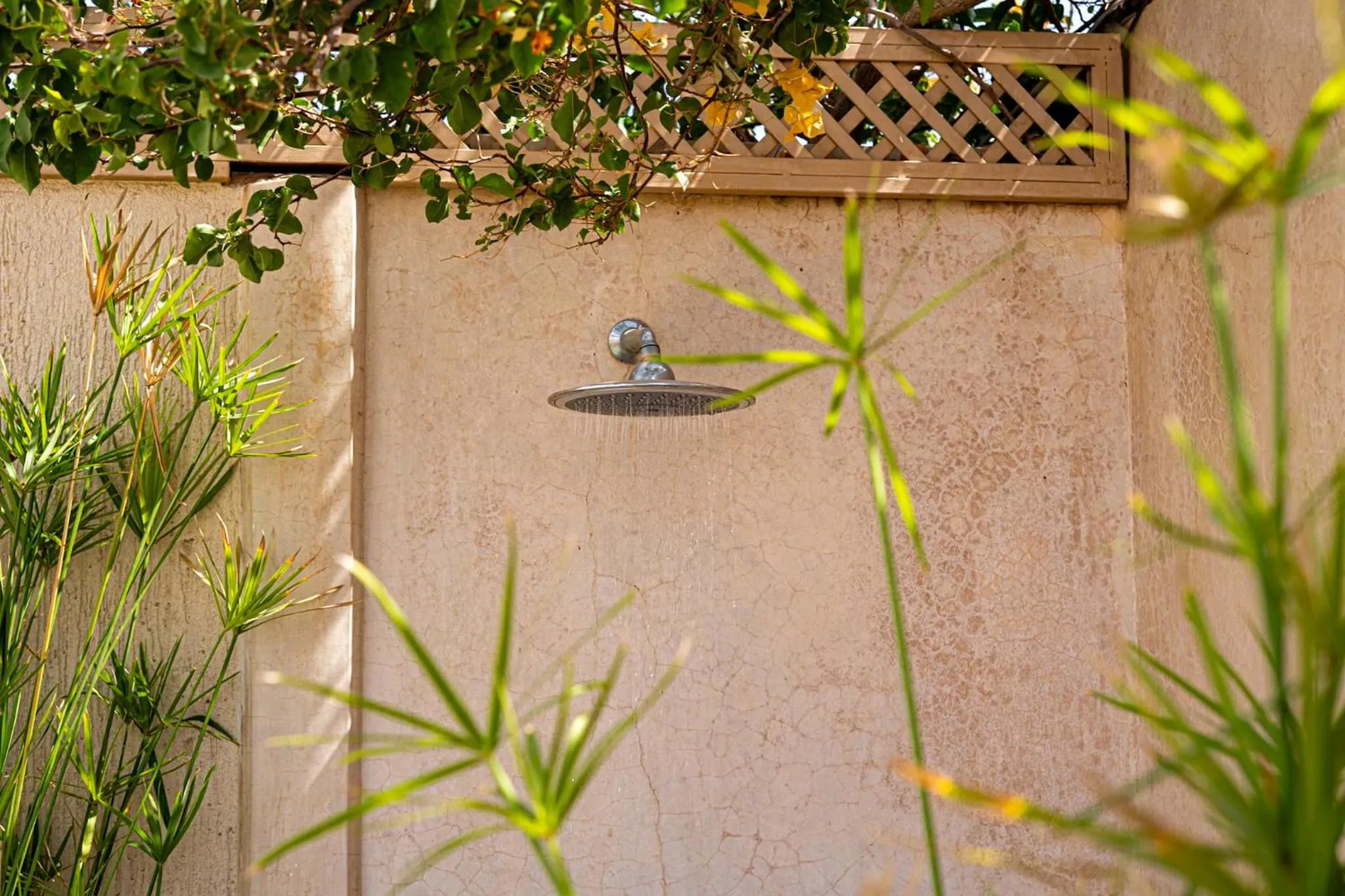 Patio in Riad Les Orangers D'alilia