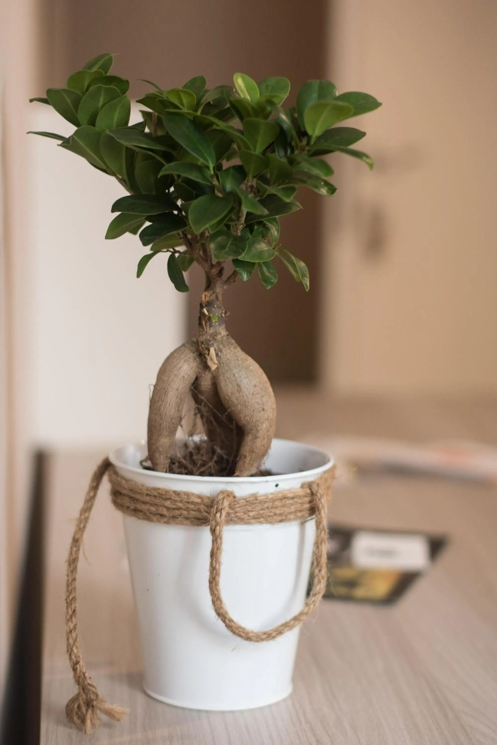 Decorative detail in Bagnasco 18 suite&terrace