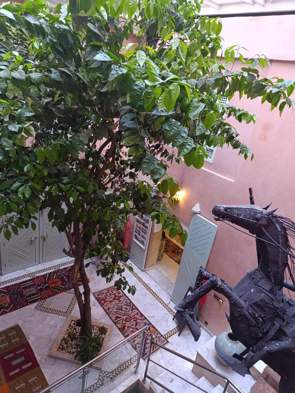 Garden in Riad Moullaoud