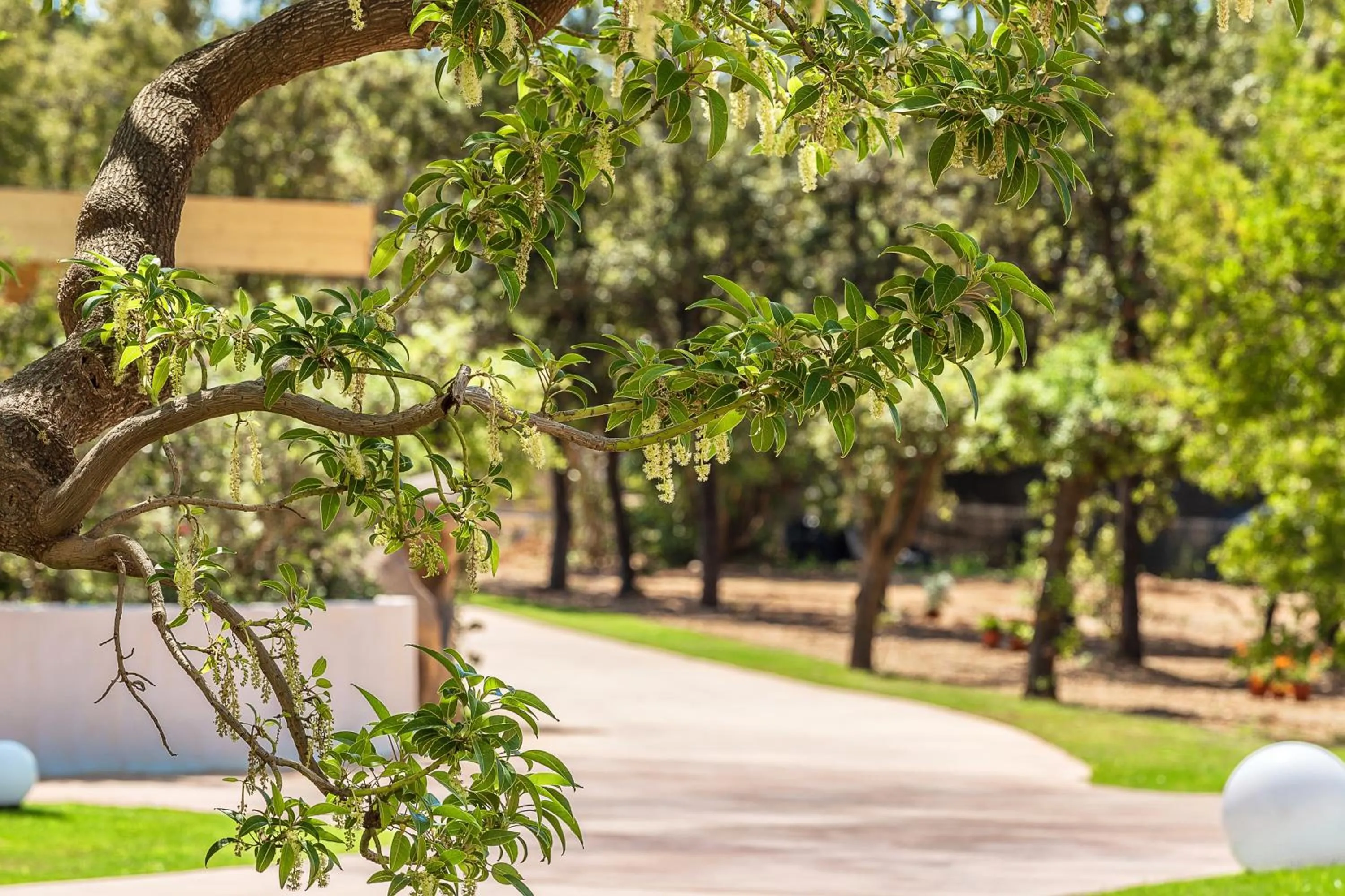 Garden in Corte Bianca - Adults Only & SPA - Bovis Hotels