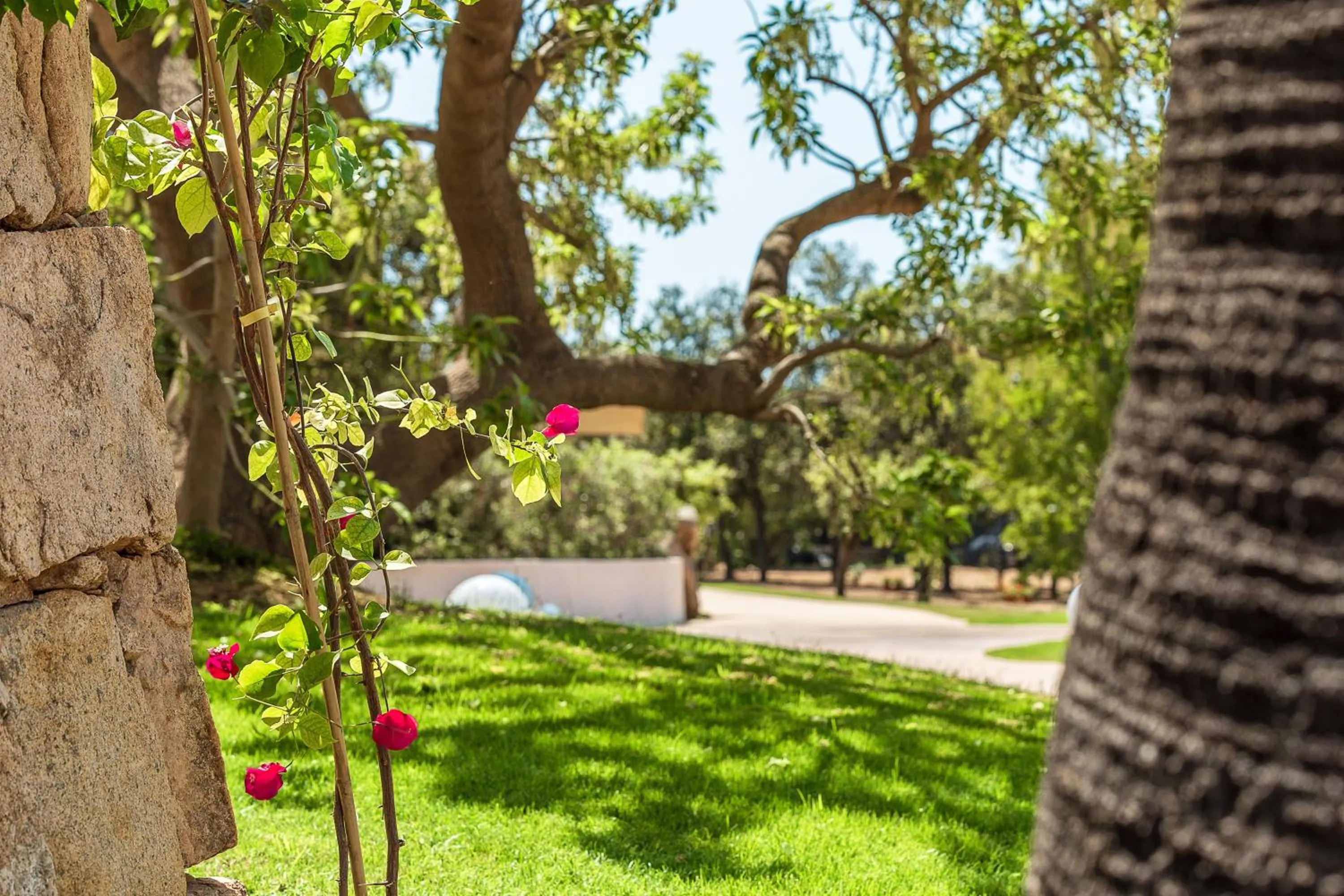 Garden in Corte Bianca - Adults Only & SPA - Bovis Hotels