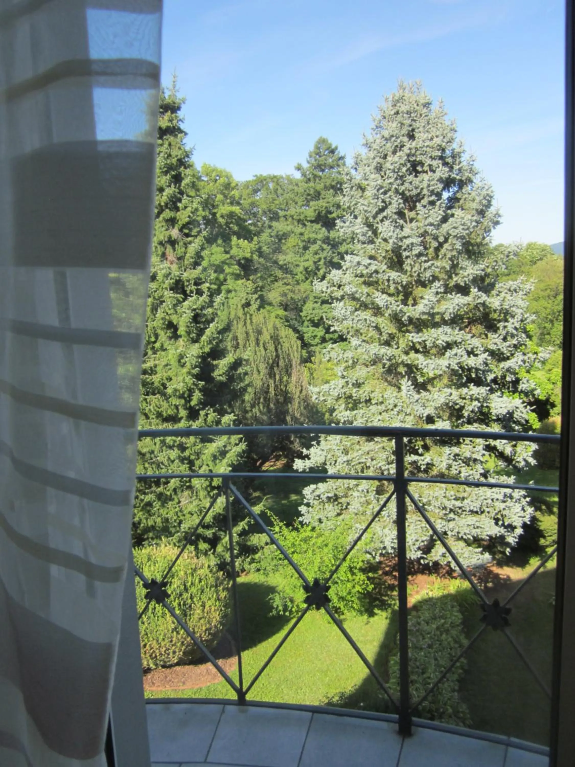 Garden view in Hotel Wolfsschlucht