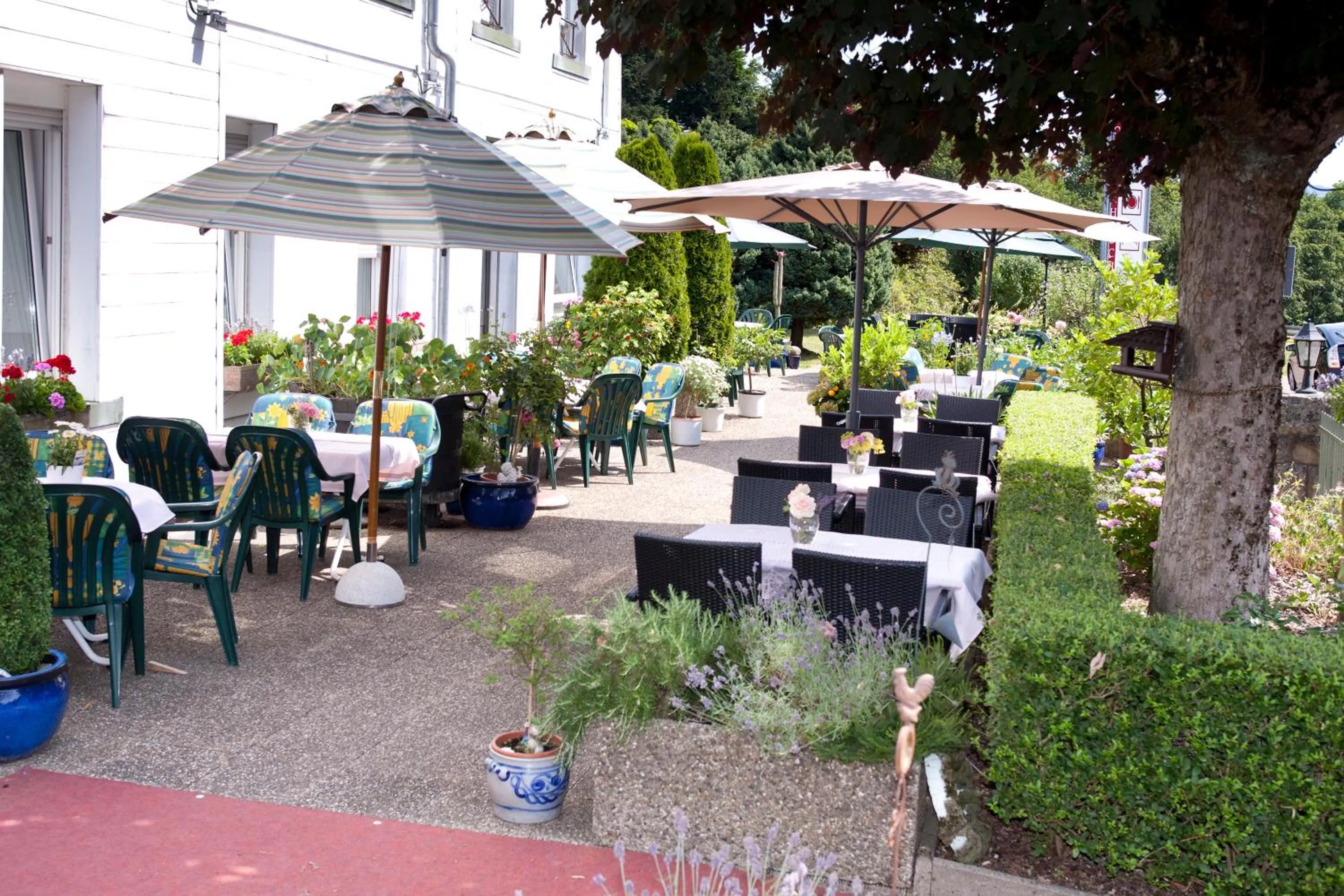 Restaurant/places to eat in Hotel Wolfsschlucht