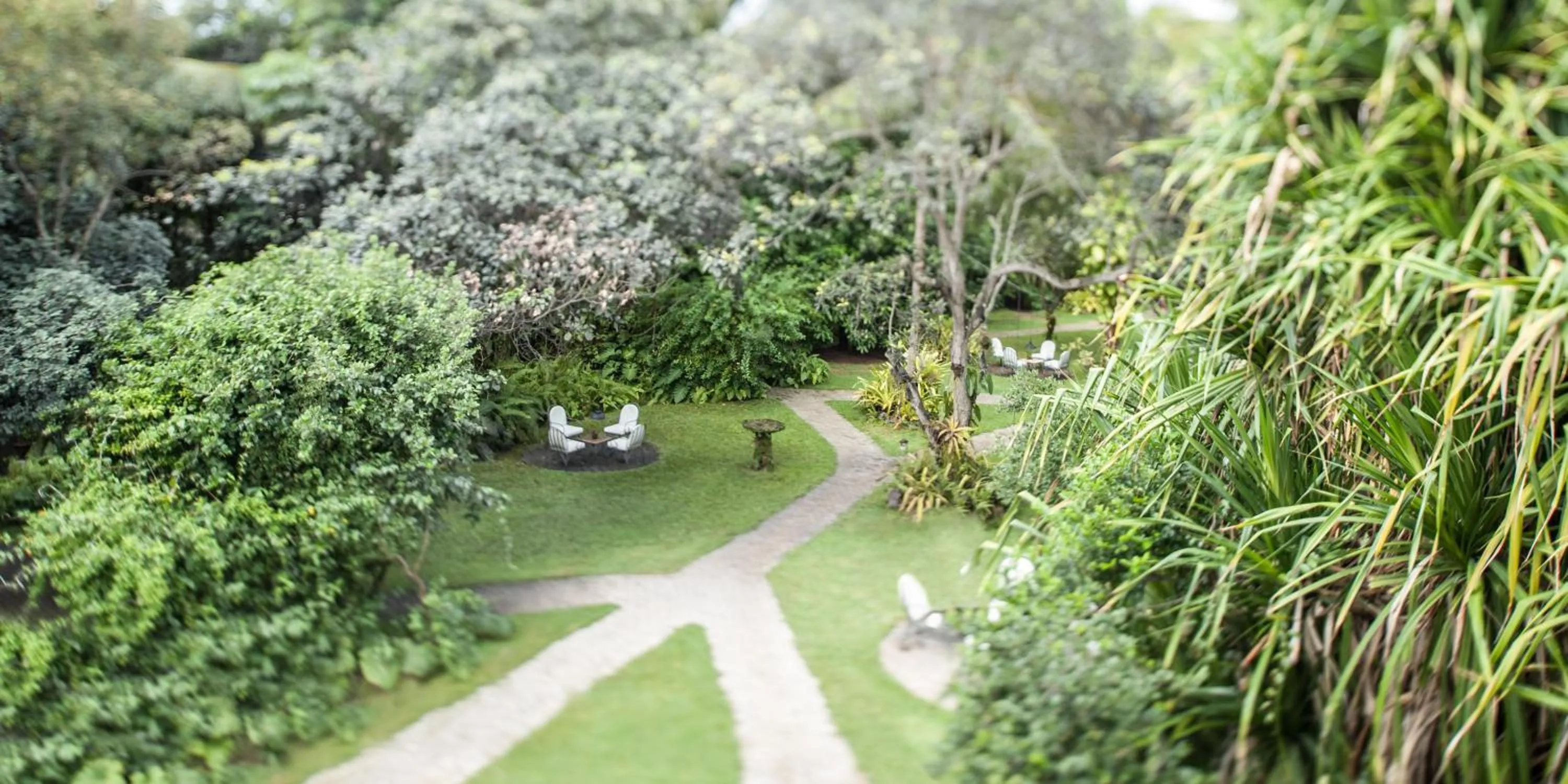 Garden in Toca da Coruja