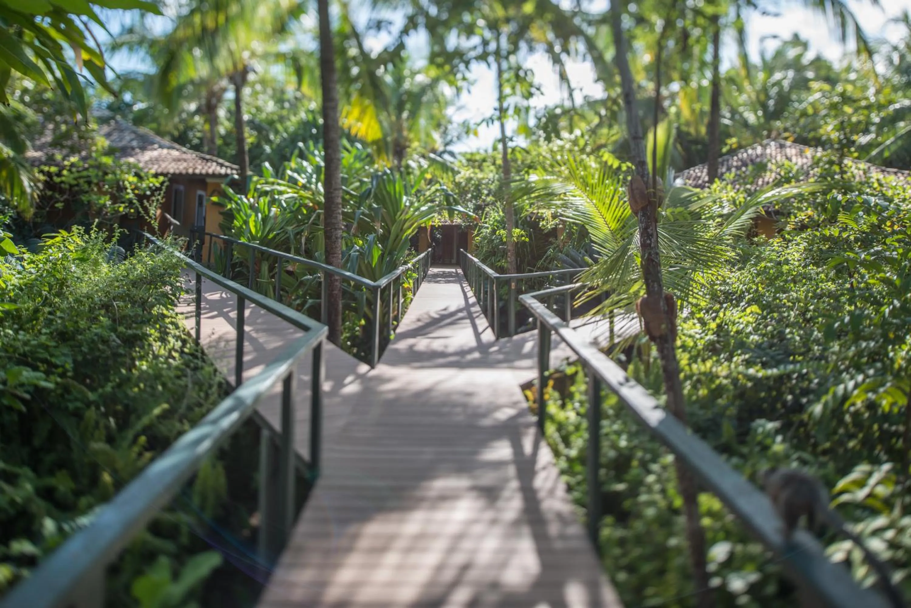 Garden view in Toca da Coruja