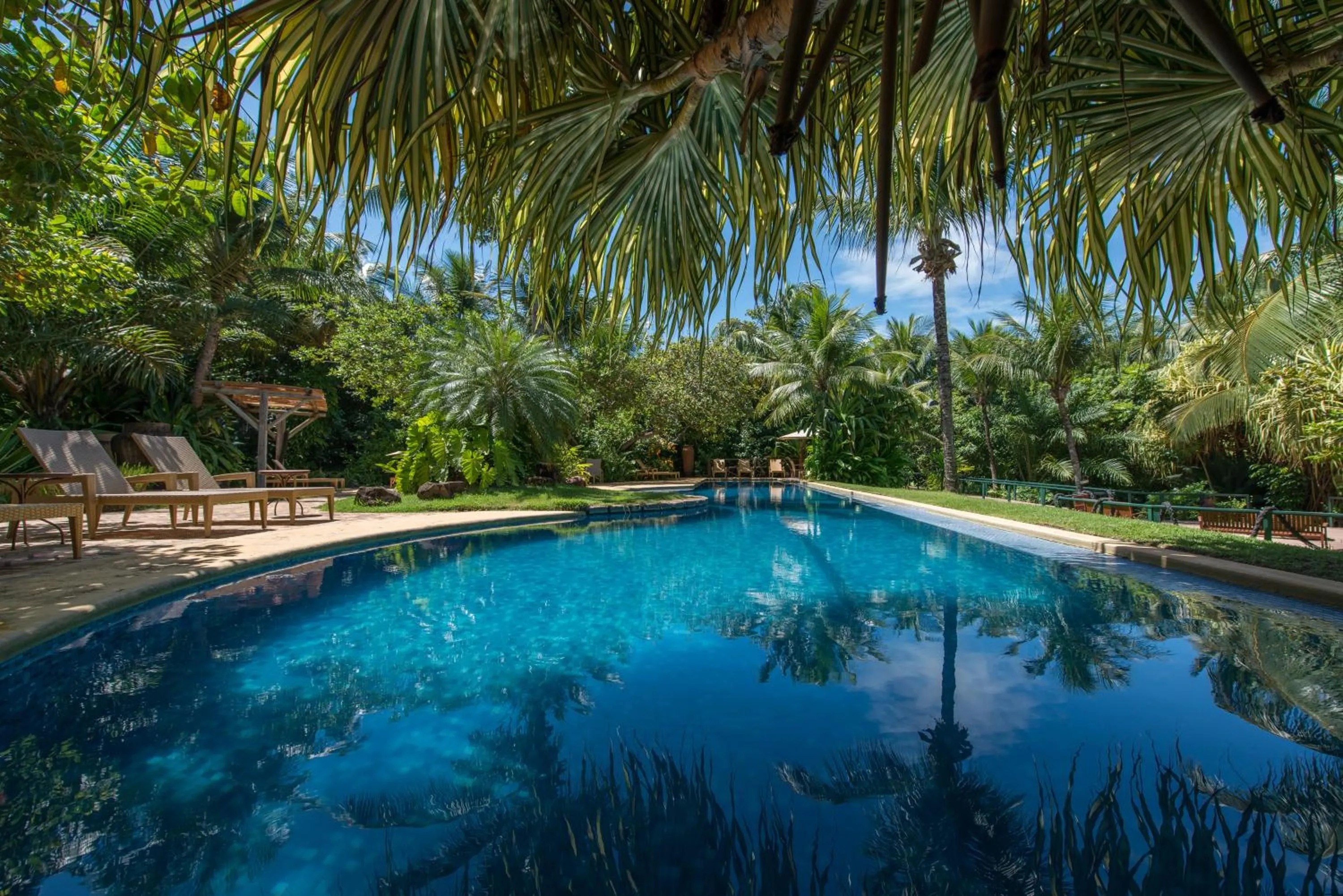Swimming pool in Toca da Coruja