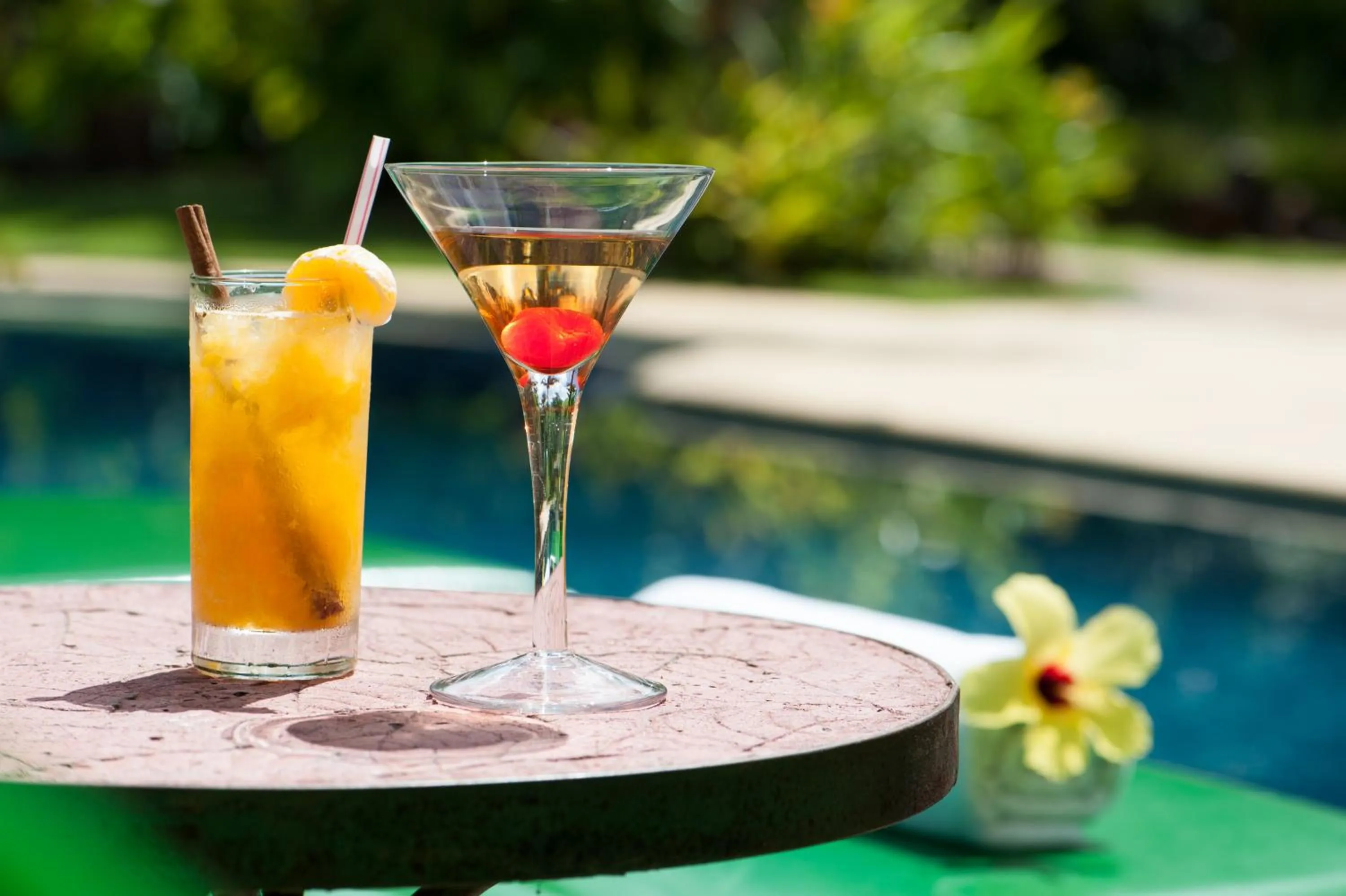 Lounge or bar in Toca da Coruja