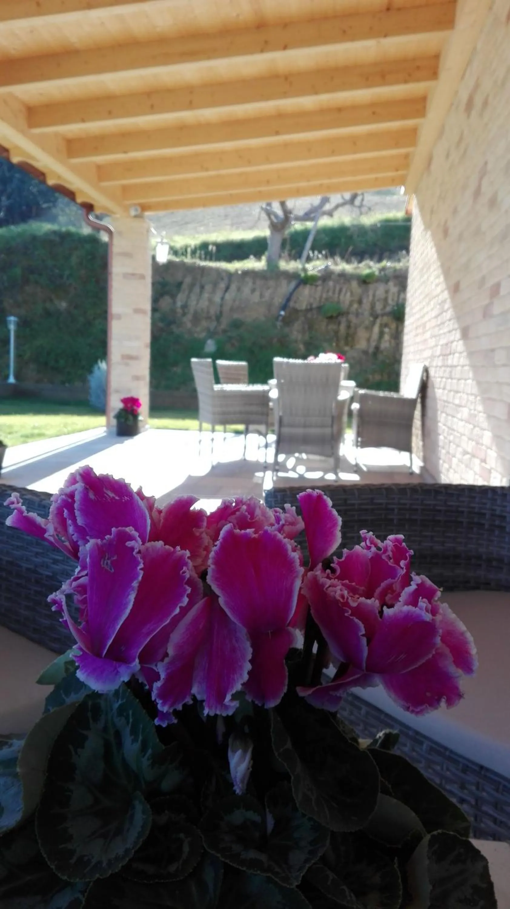 B&B CasalFarano