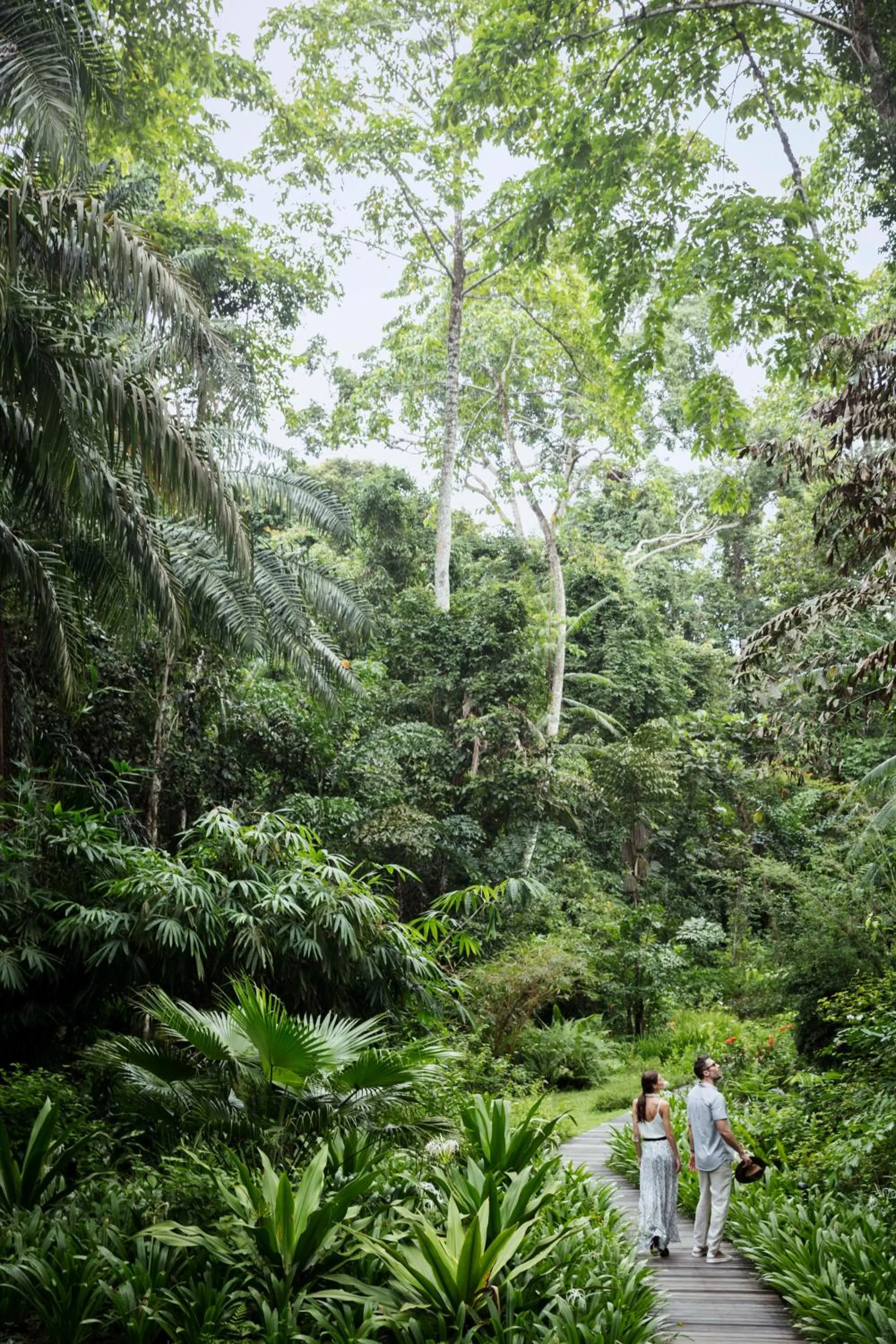 Natural landscape in The Datai Langkawi